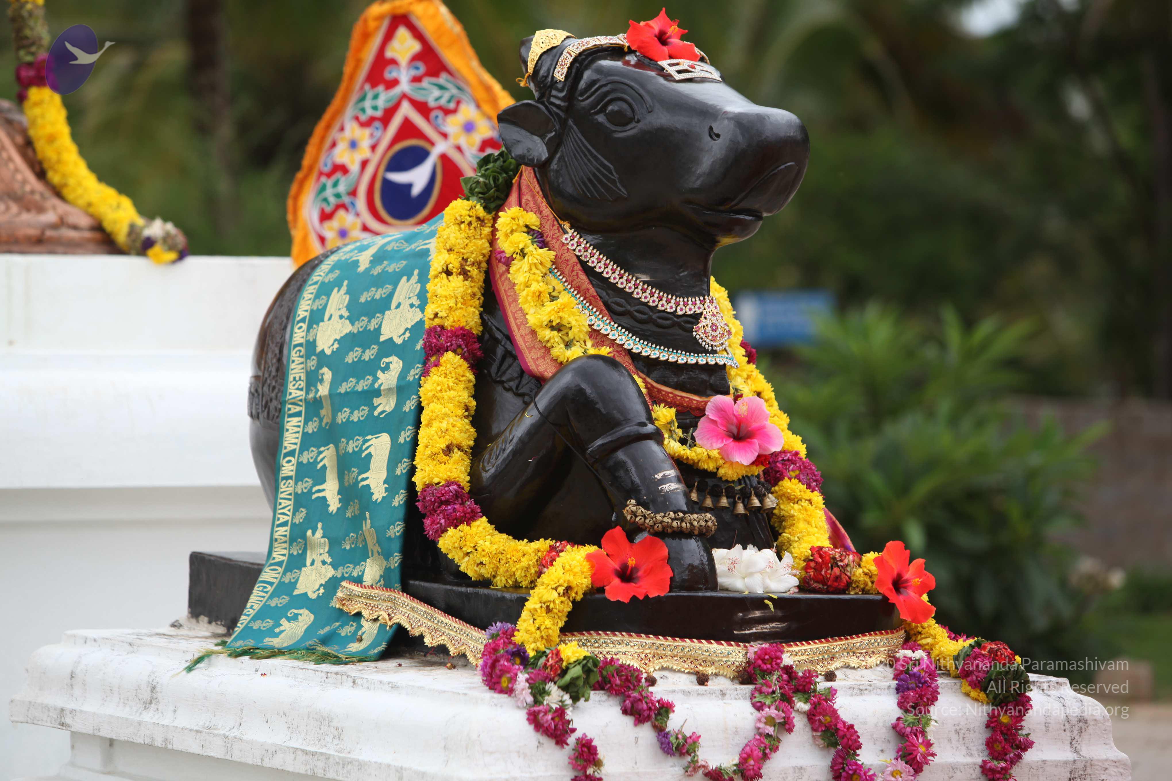 20090823_Photo_1018_IMG_6893_CMP_WM