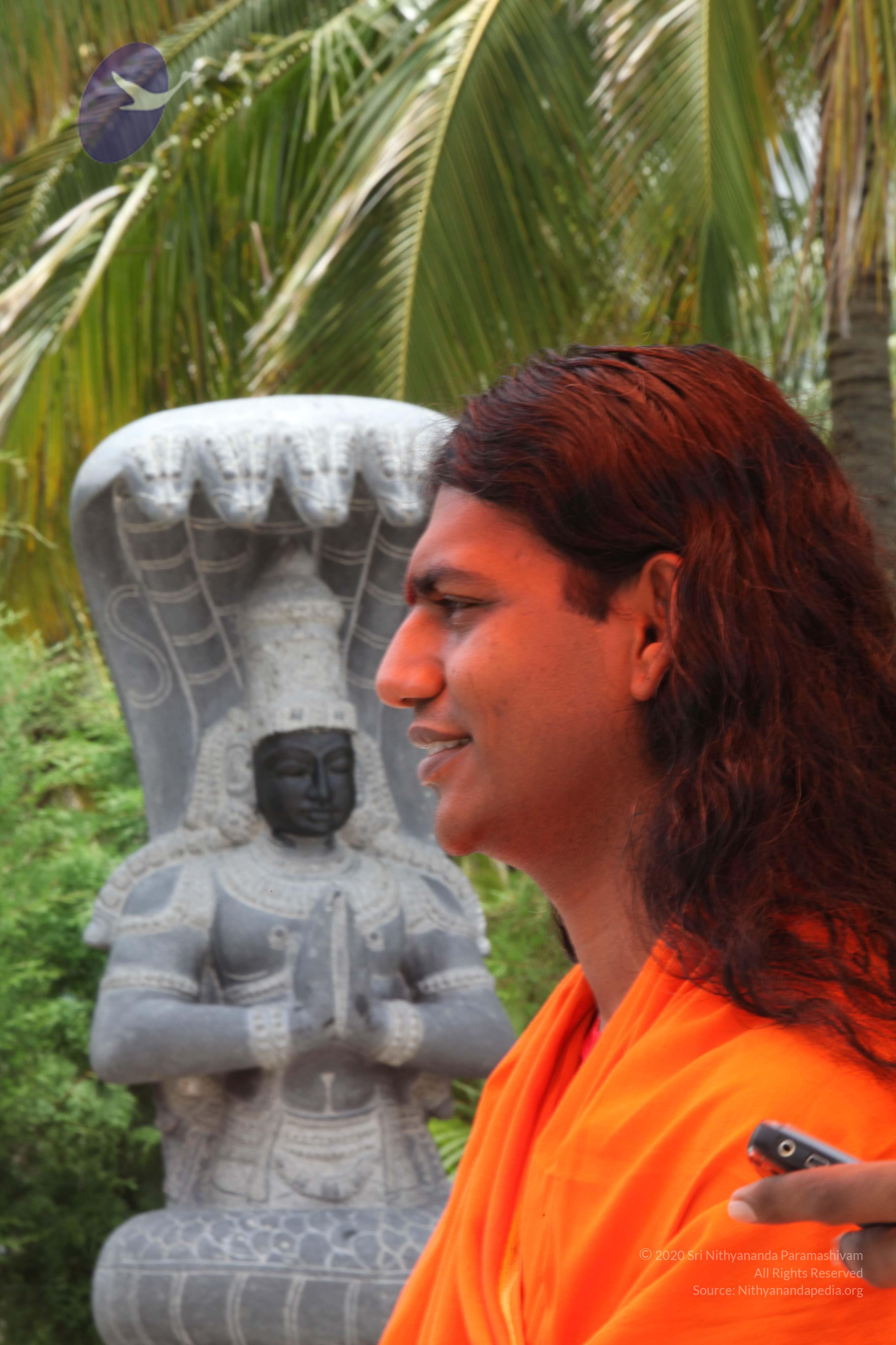 20090823_Photo_1027_IMG_6948_CMP_WM