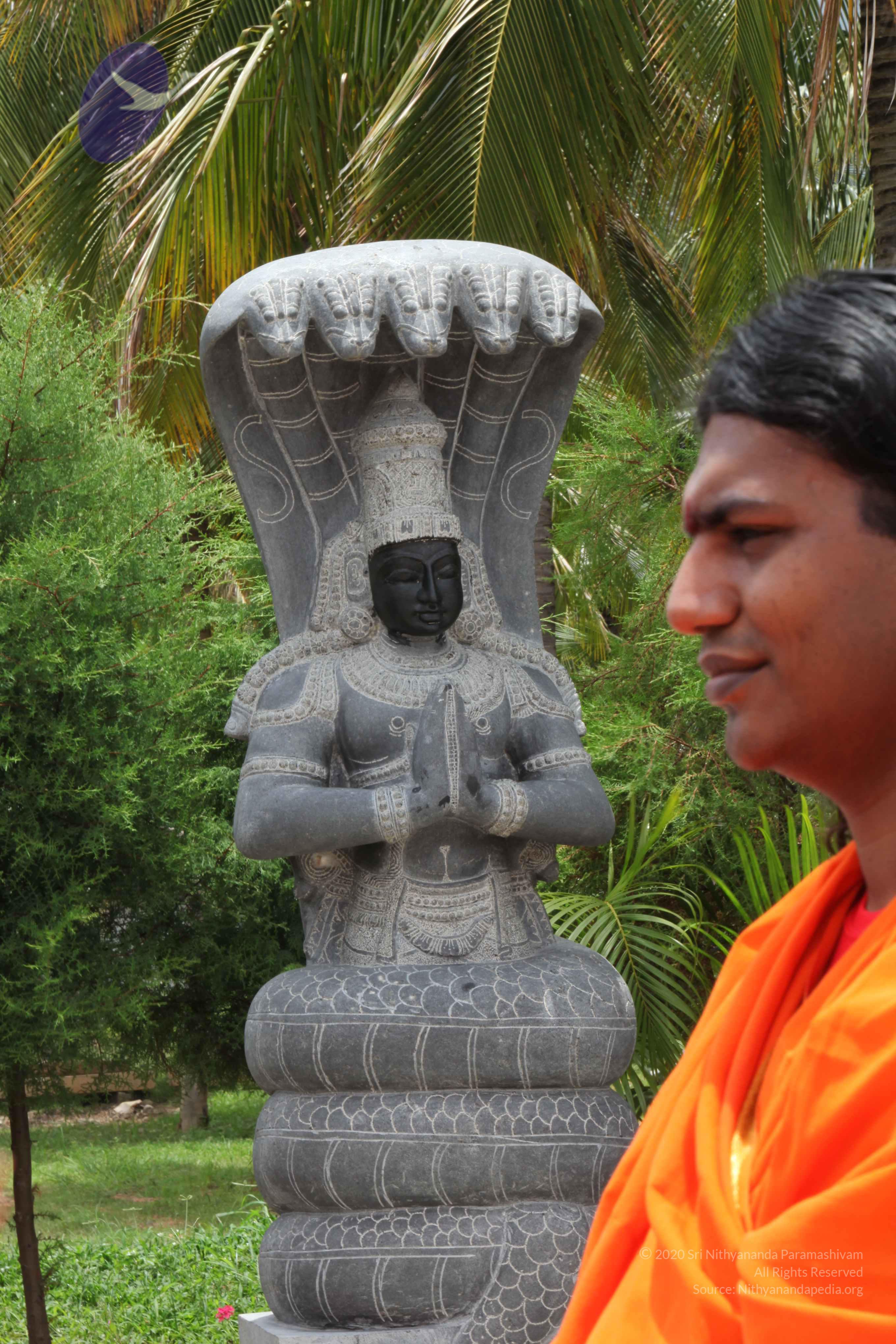 20090823_Photo_1043_IMG_6951_CMP_WM