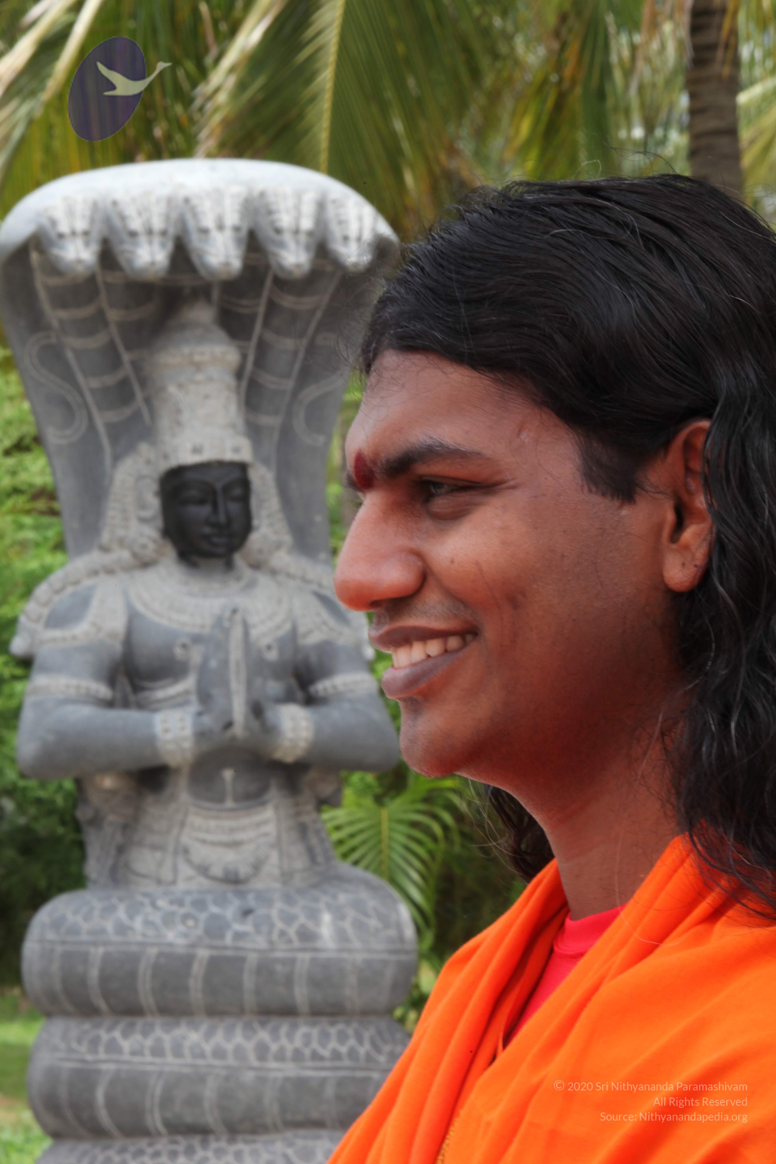 20090823_Photo_1059_IMG_6952_CMP_WM