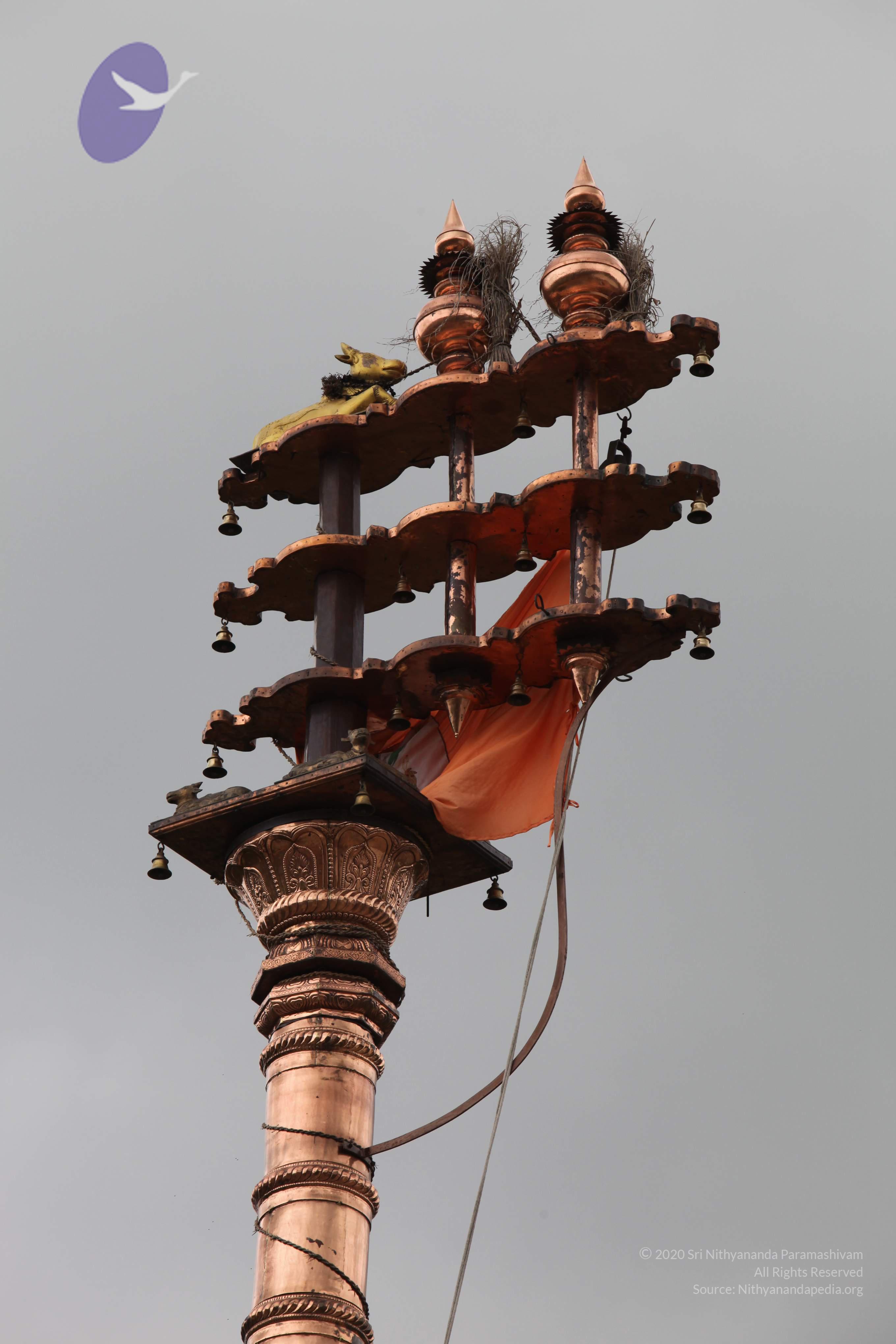 20090823_Photo_1073_IMG_6905_CMP_WM