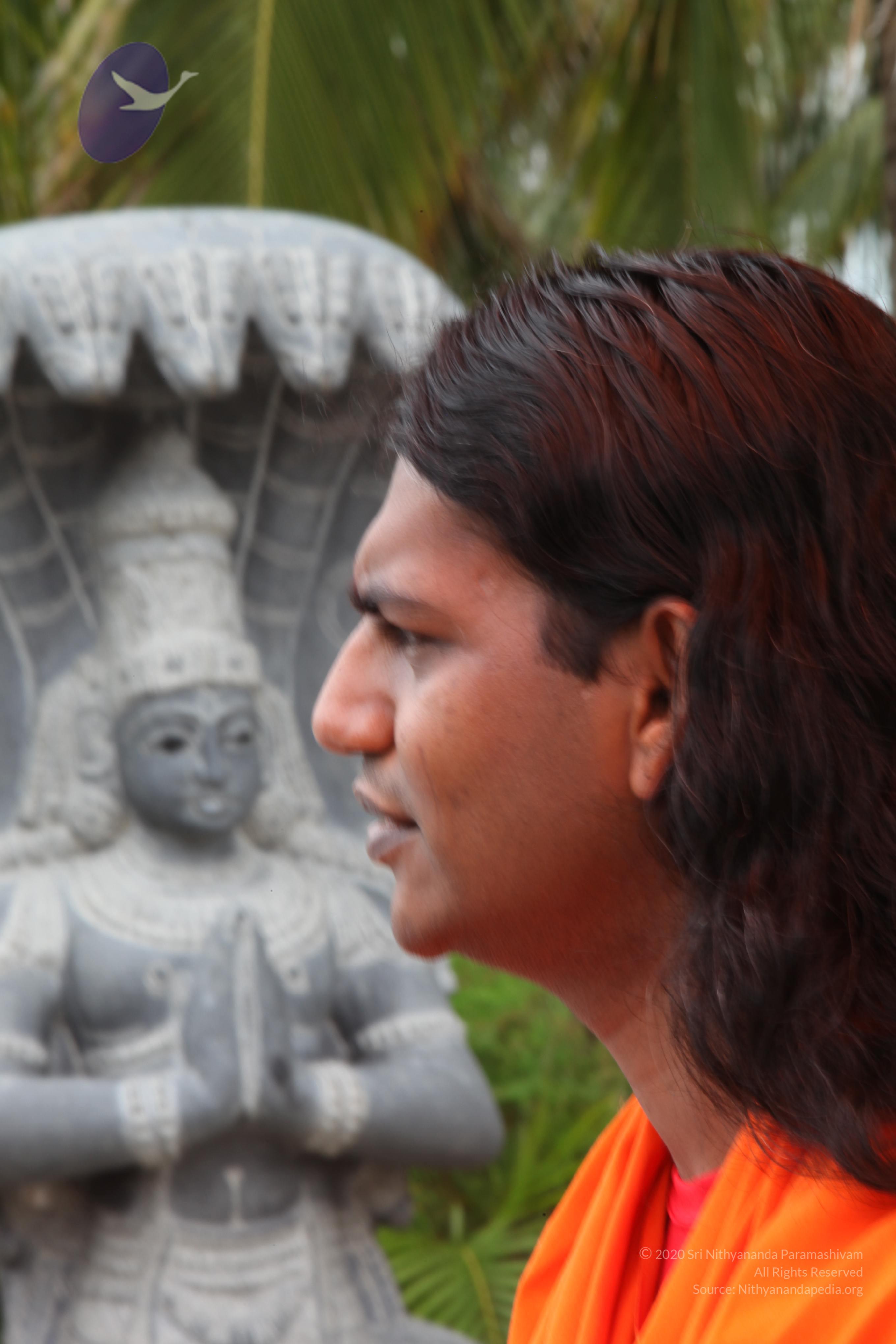 20090823_Photo_1078_IMG_6937_CMP_WM