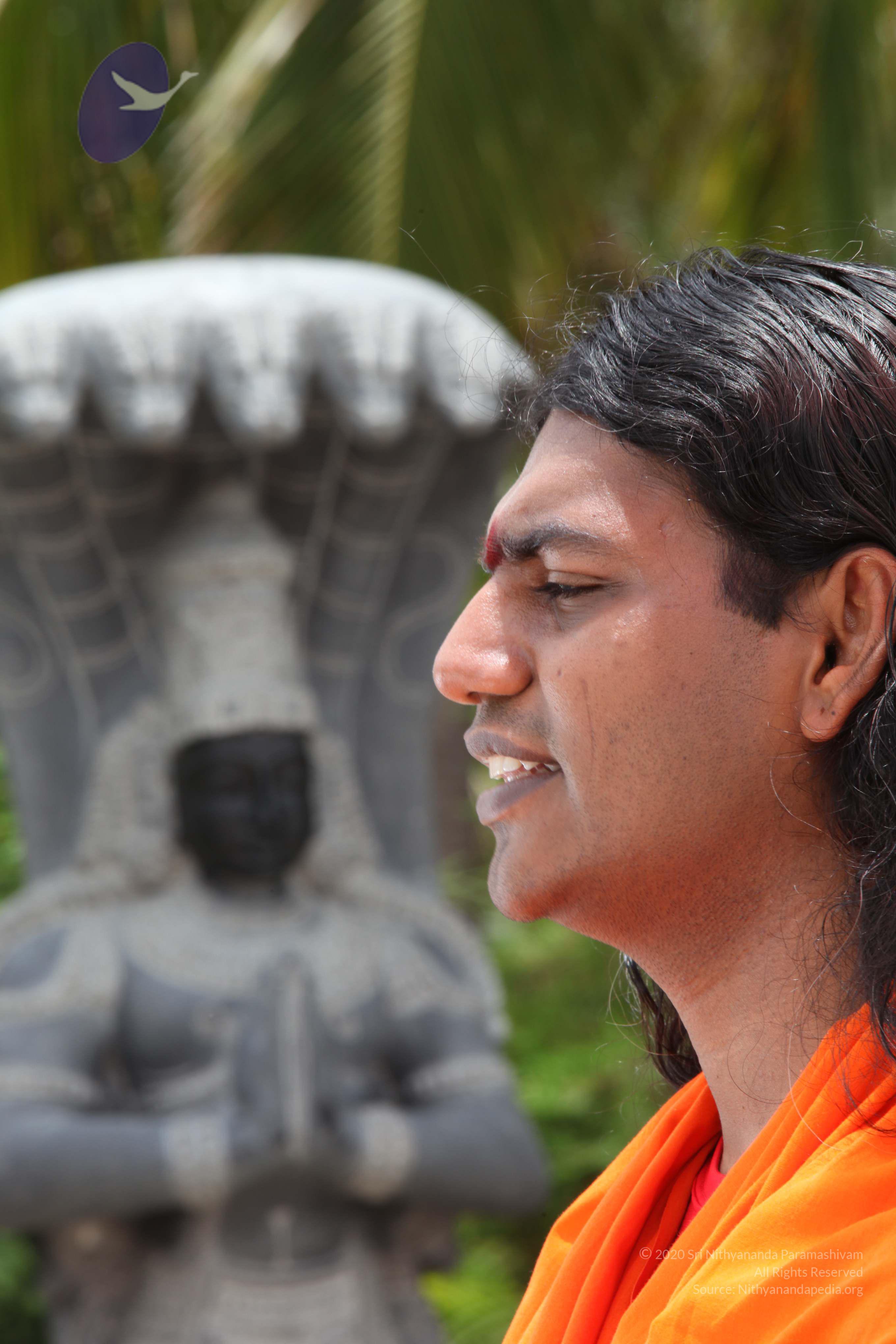 20090823_Photo_1081_IMG_6949_CMP_WM