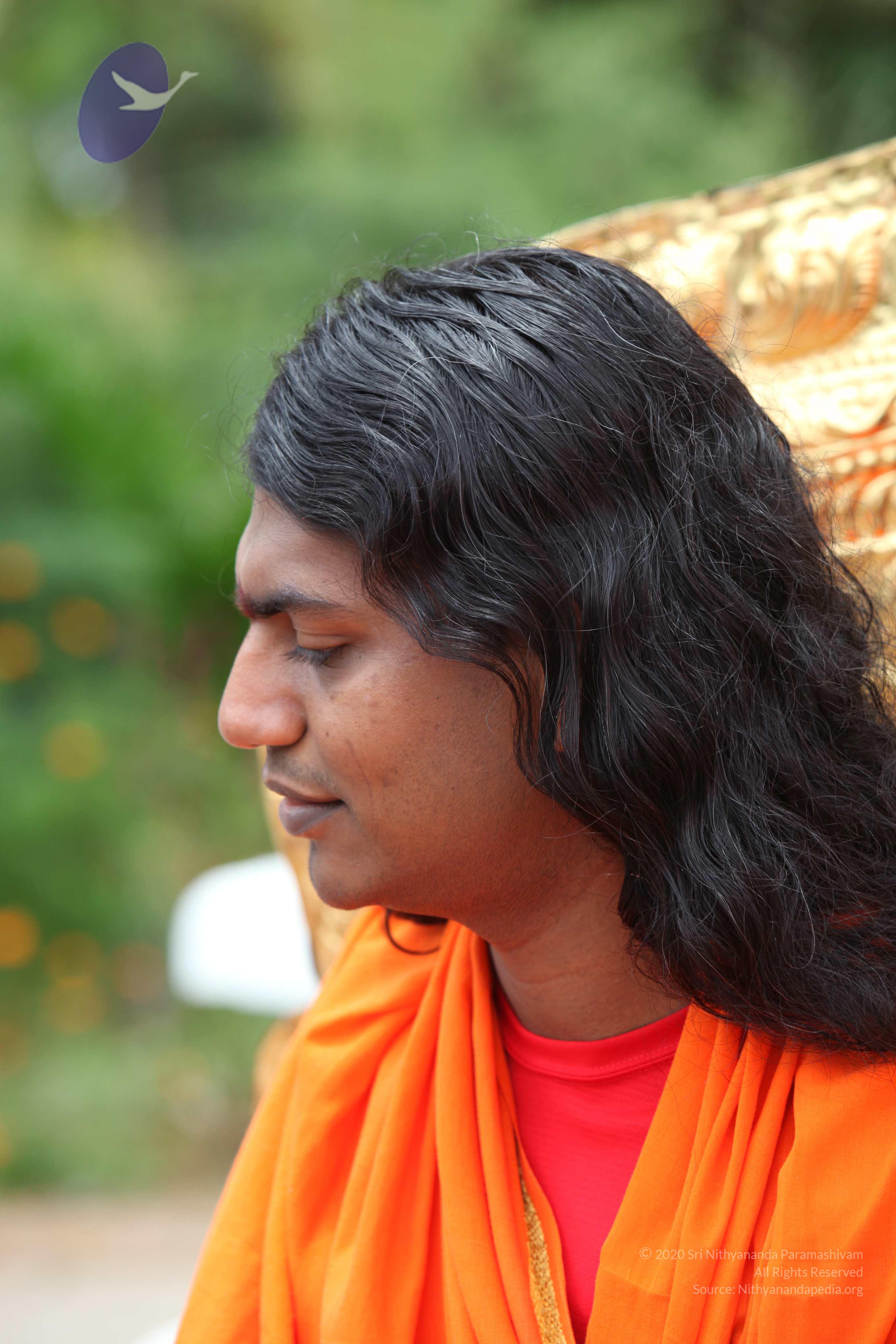 20090823_Photo_1086_IMG_6958_CMP_WM