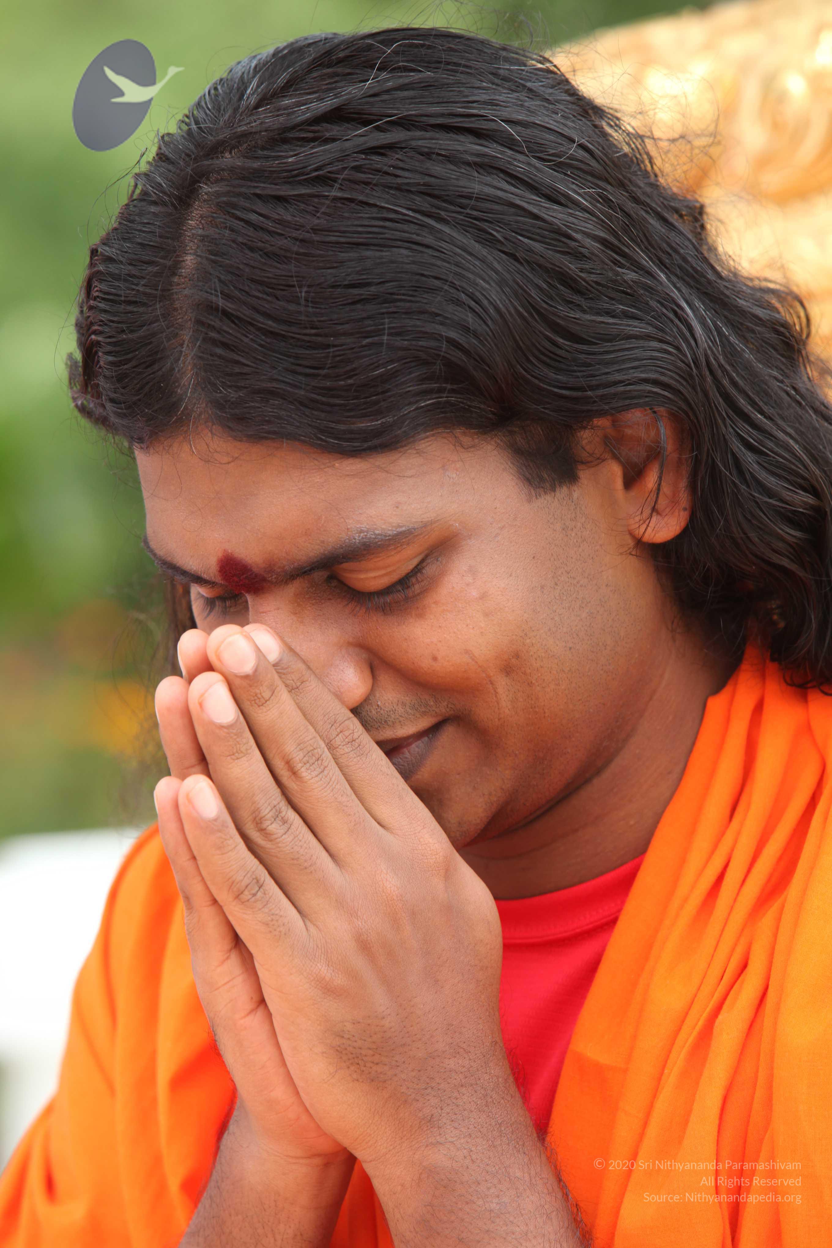 20090823_Photo_1001_IMG_7010_CMP_WM