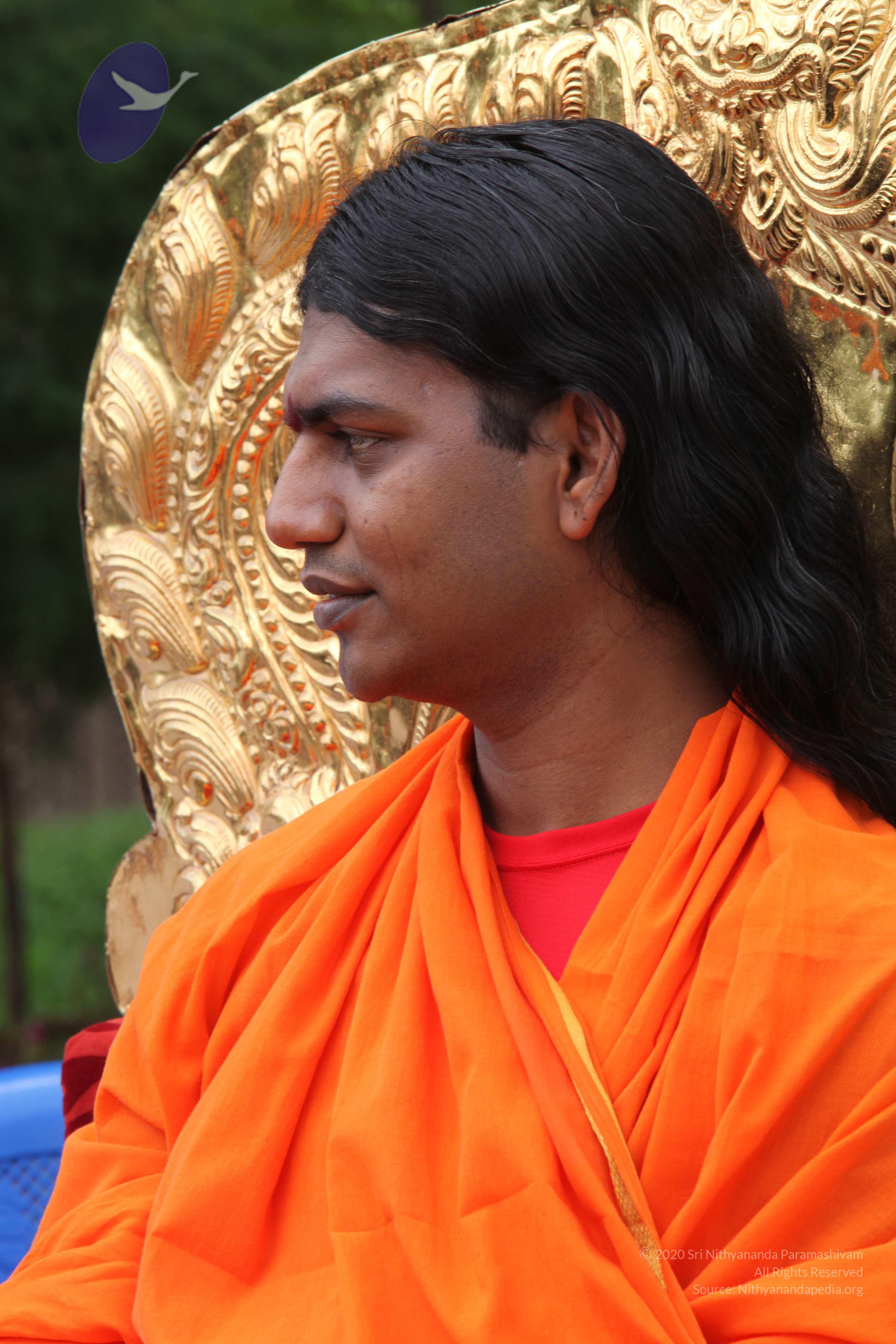 20090823_Photo_1009_IMG_6993_CMP_WM