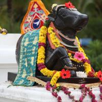 20090823_Photo_1018_IMG_6893_CMP_WM