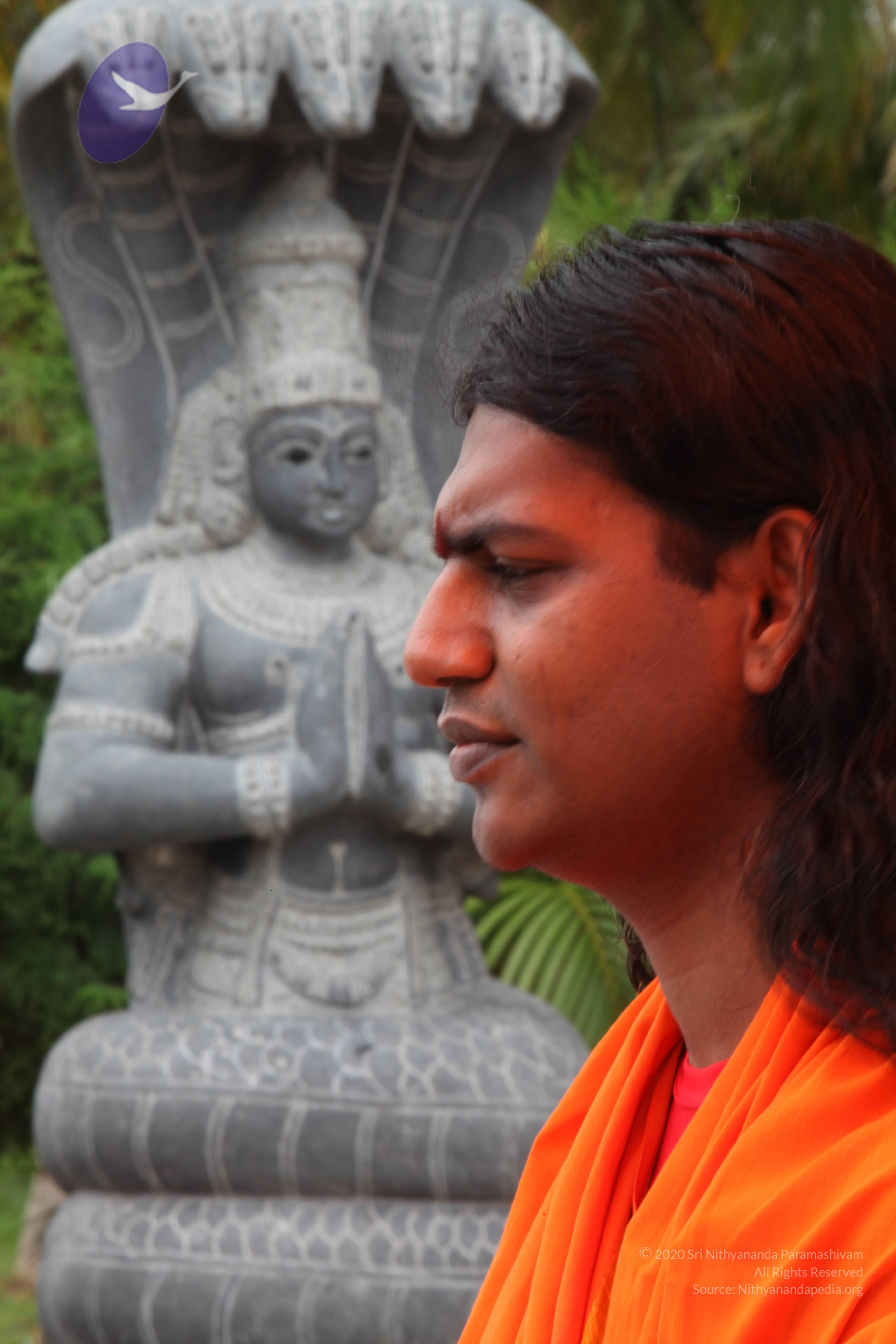 20090823_Photo_1036_IMG_6940_CMP_WM