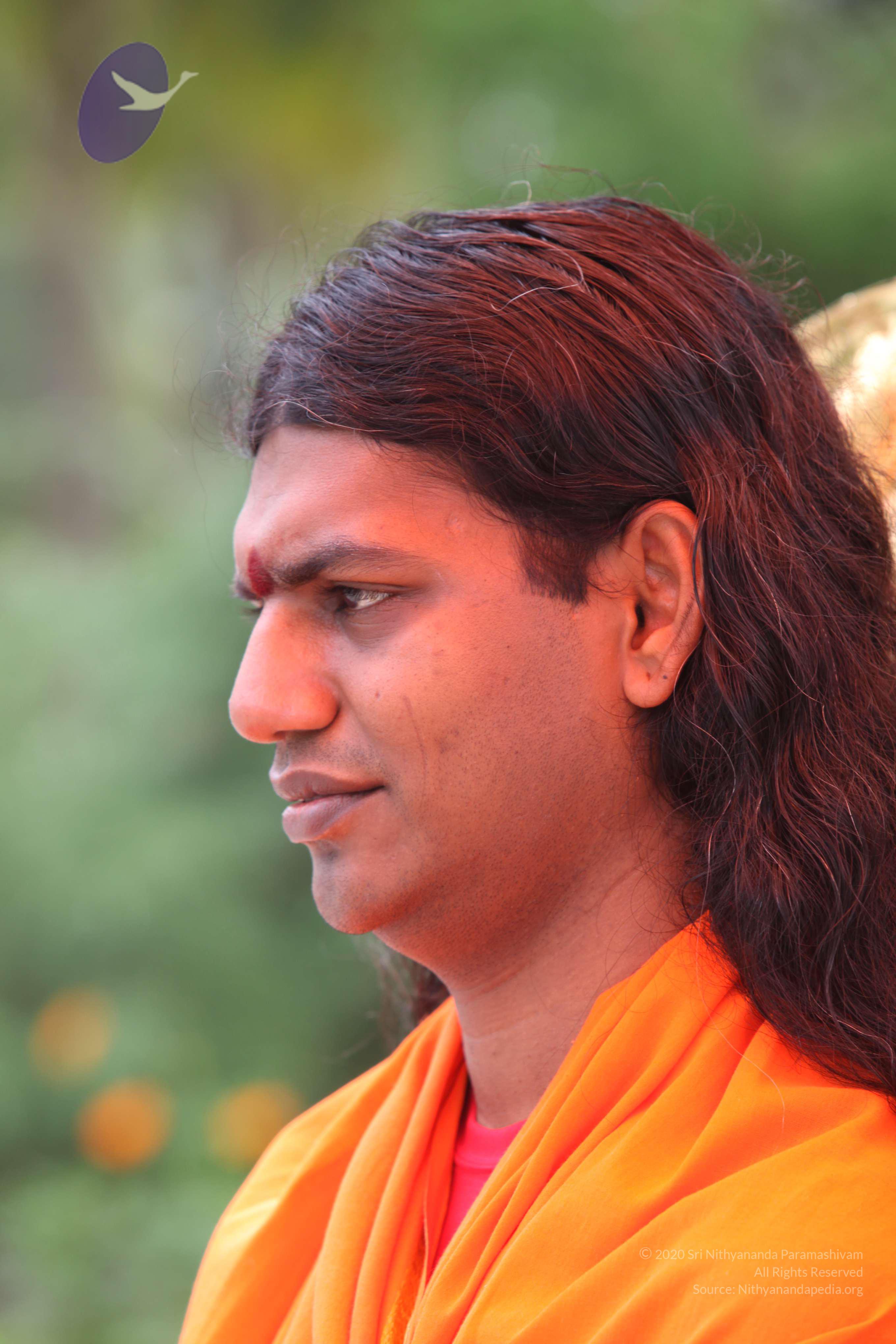 20090823_Photo_1049_IMG_6916_CMP_WM