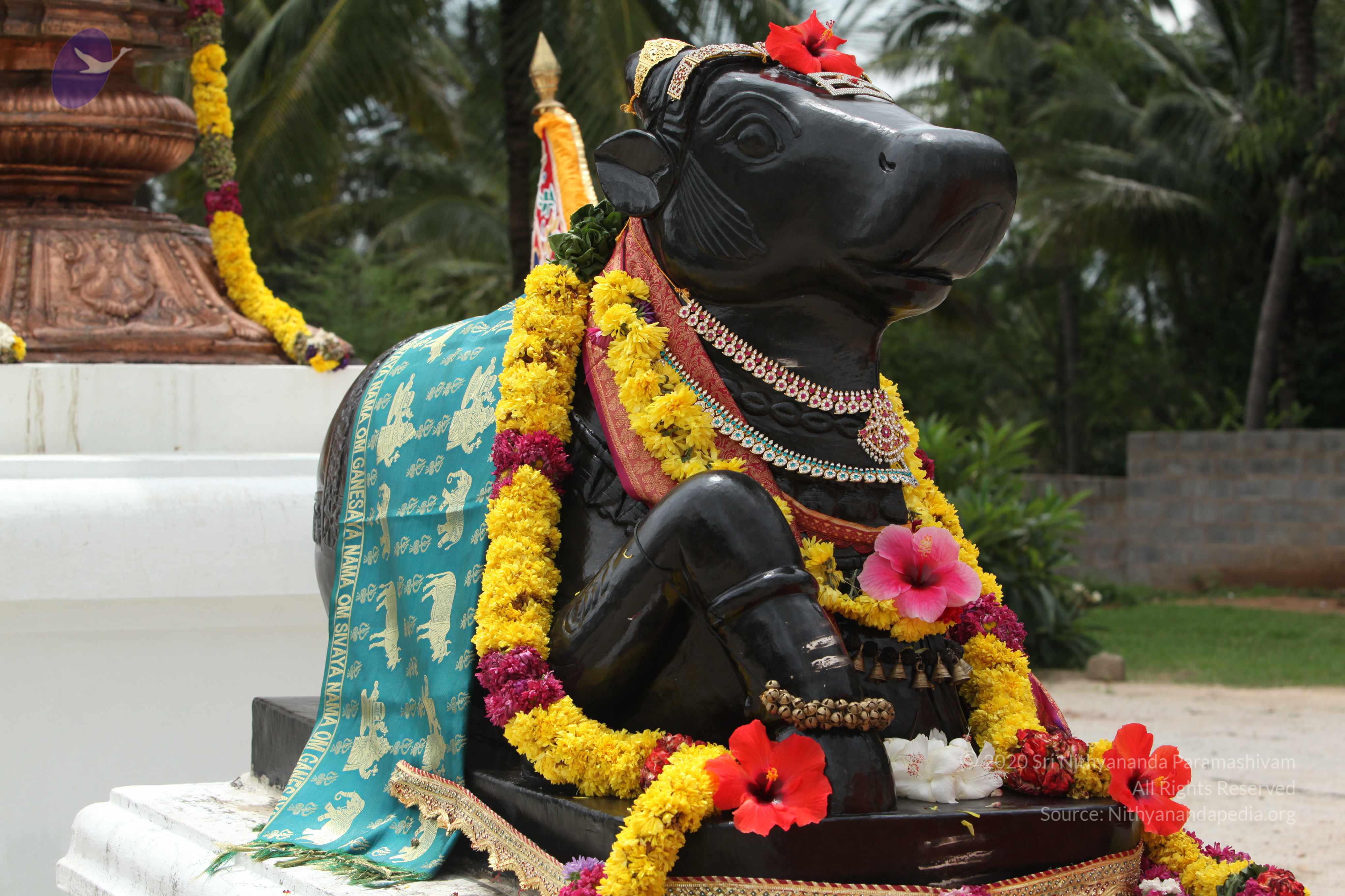 20090823_Photo_1053_IMG_6883_CMP_WM