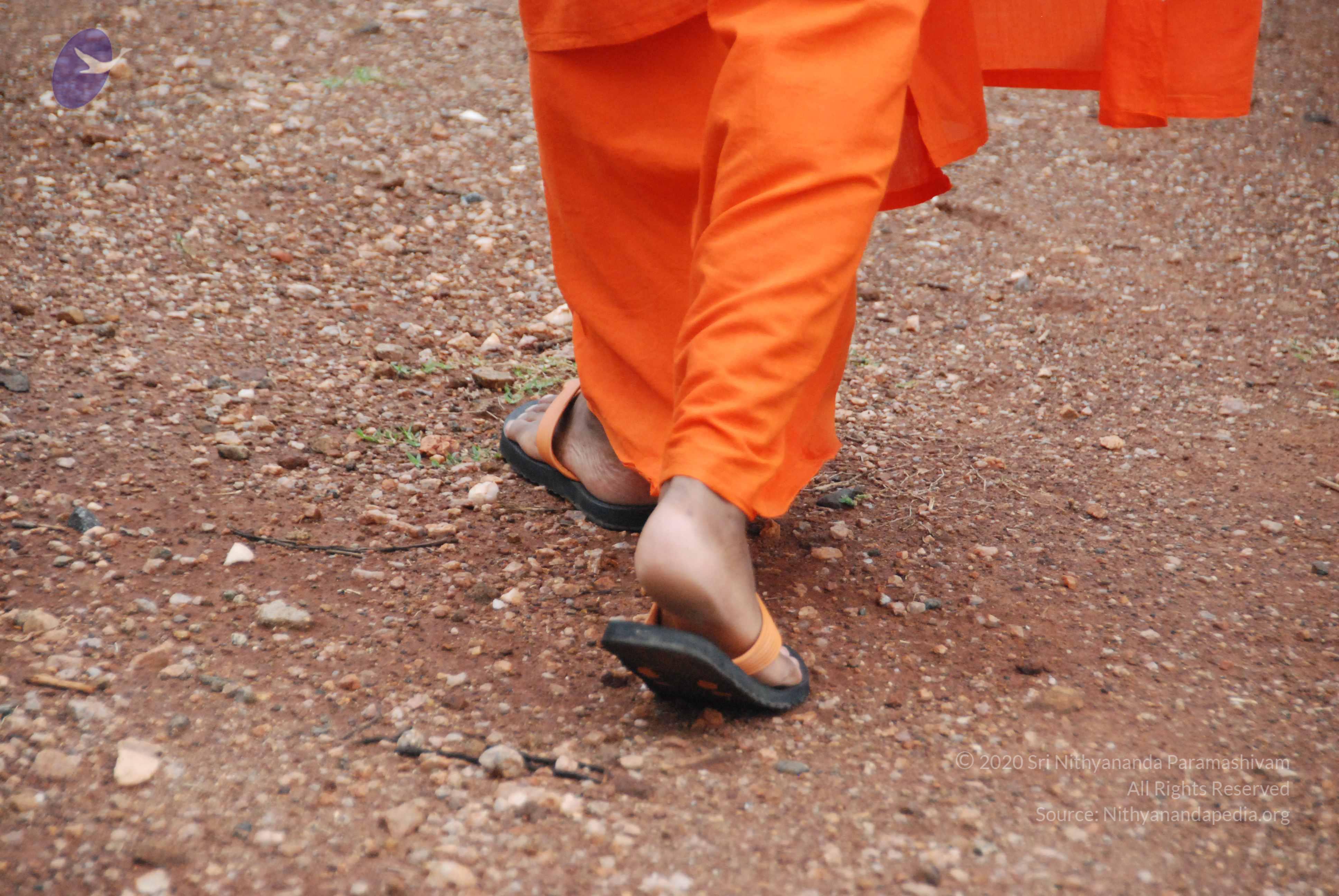 holy feet walking_CMP_WM