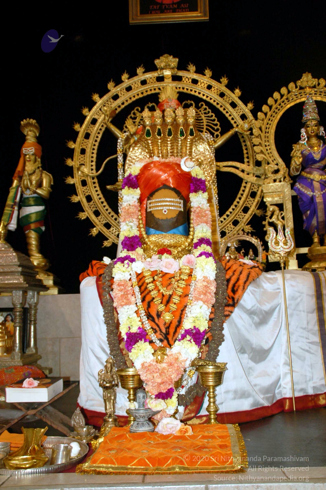 20091104_04Nov2009_Los_Angeles_City_Organizers_Meet_13101