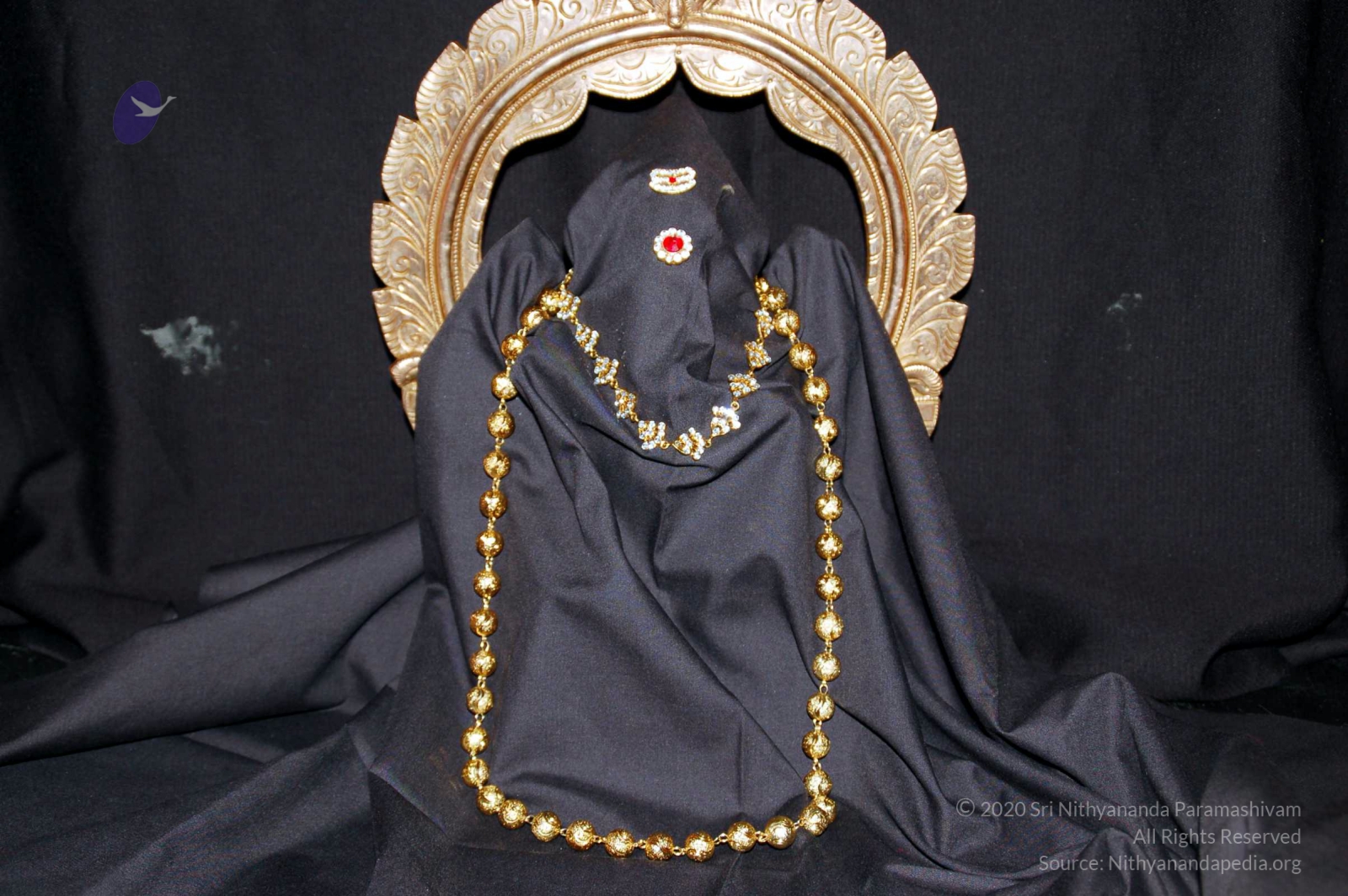 20091104_04Nov2009_Los_Angeles_City_Organizers_Meet_13901