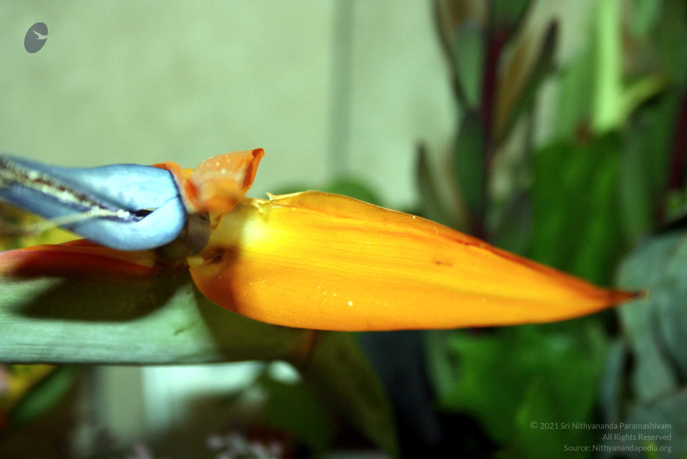 20091022_Picture 10501