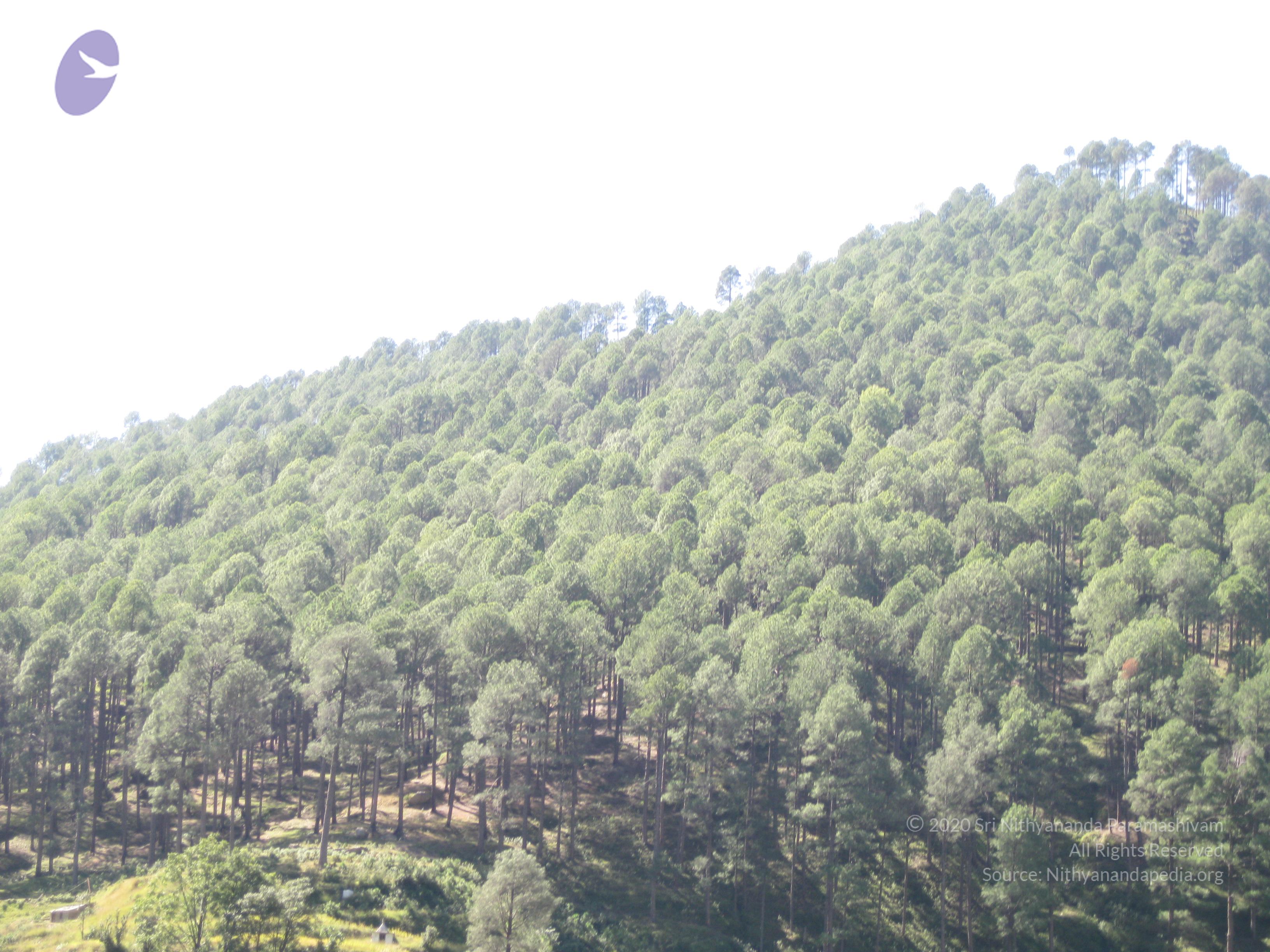 File0550_CMP_WM