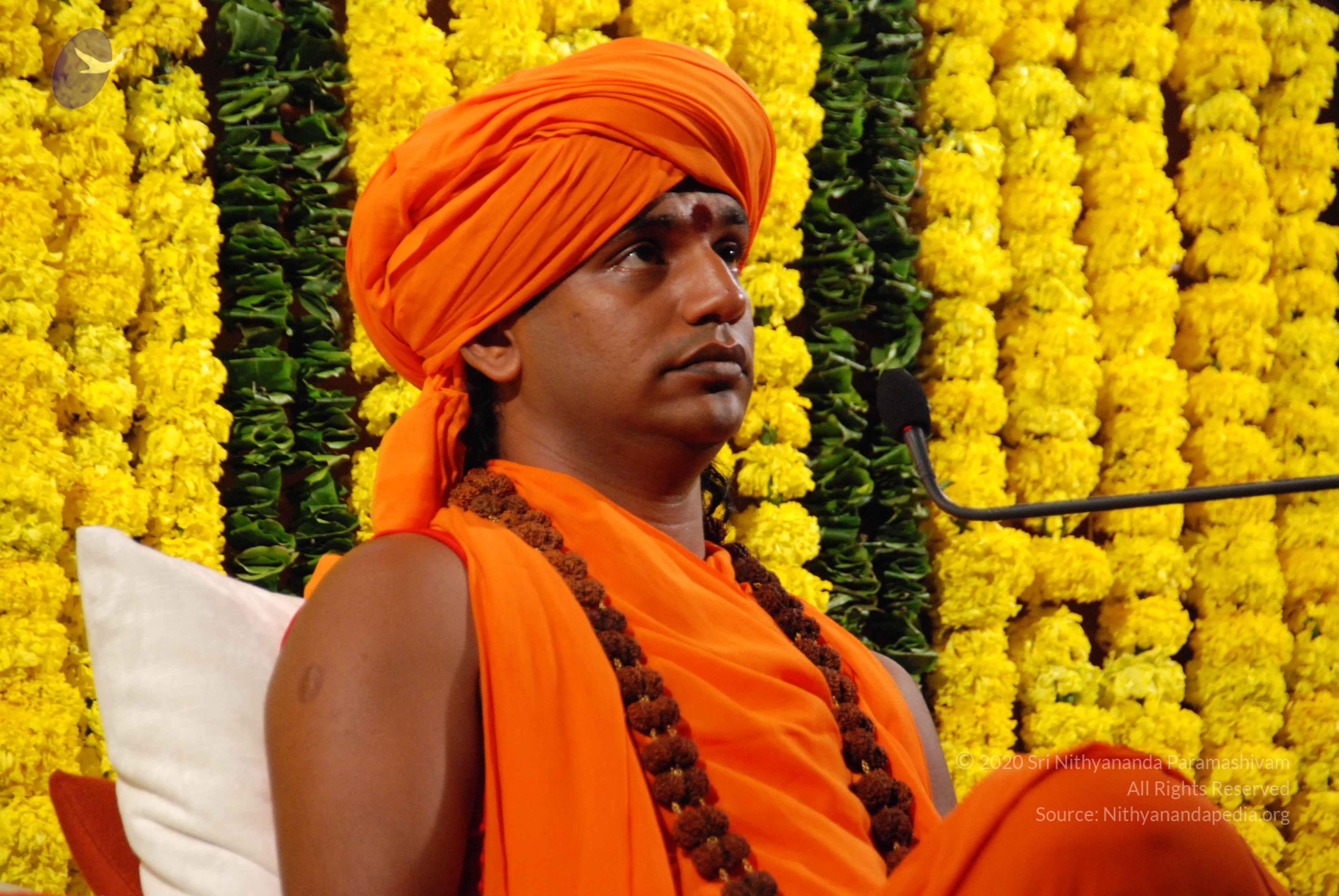 20090911_Photo_1002_DSC_0136_CMP_WM