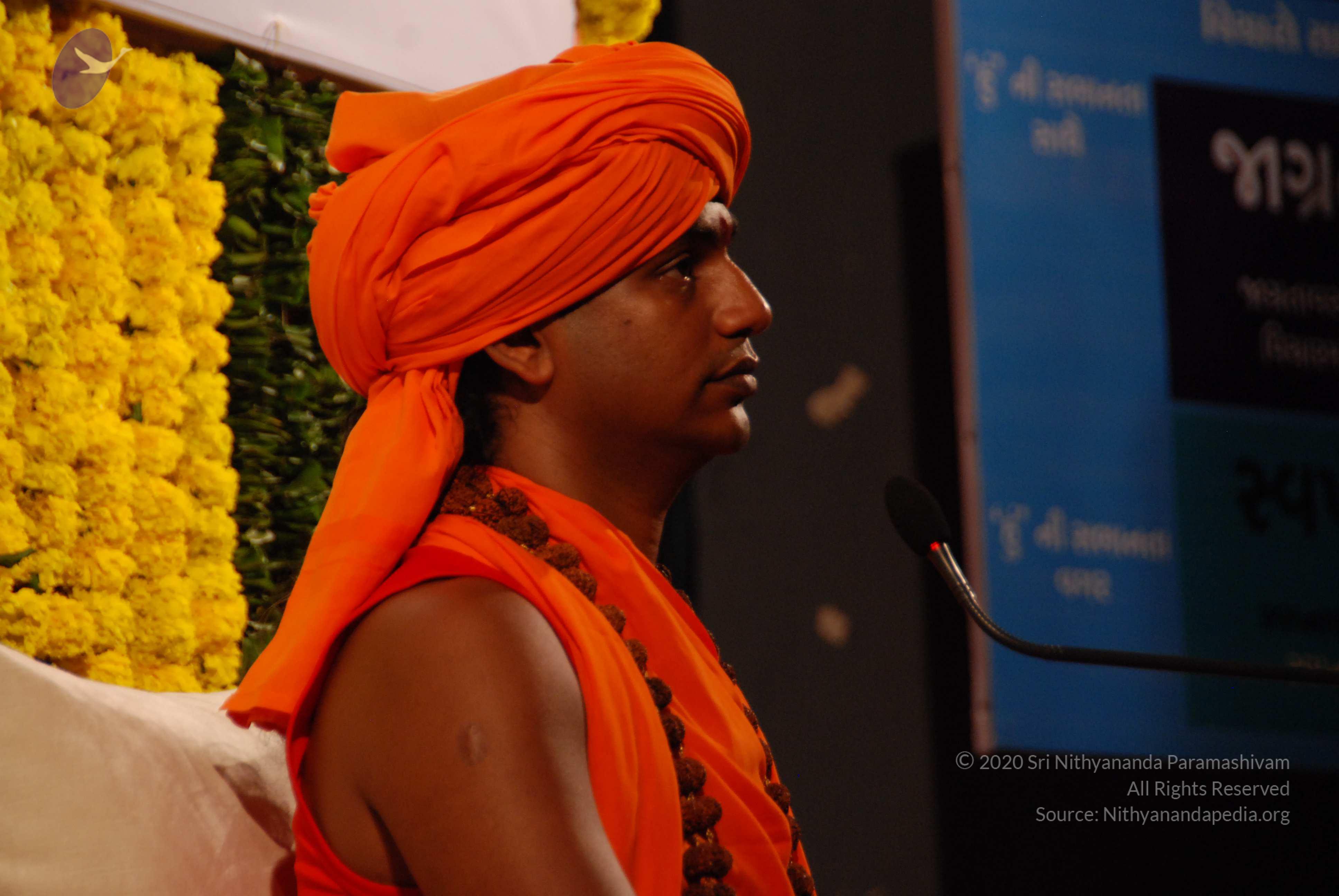 20090911_Photo_1022_DSC_0097_CMP_WM(1)