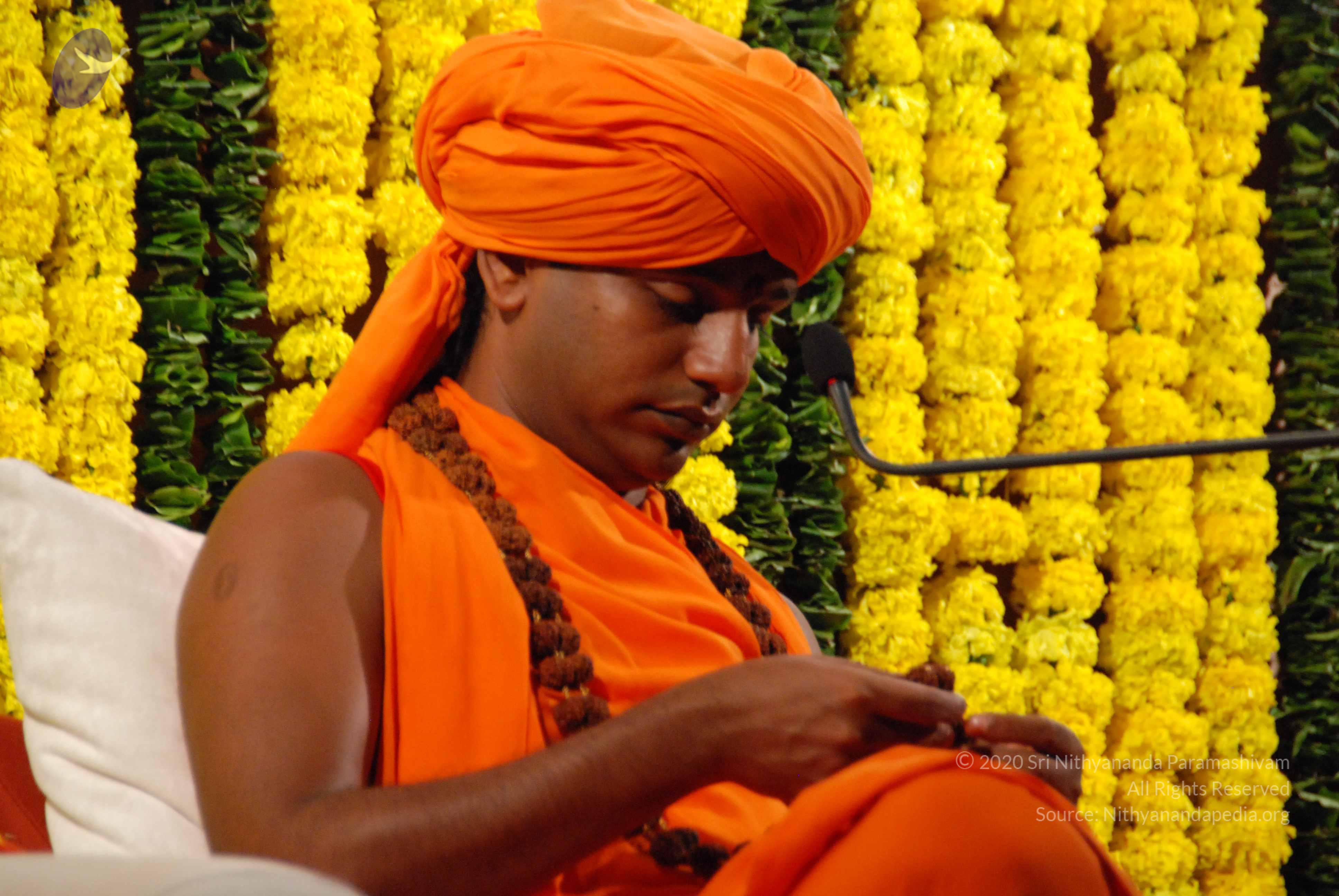 20090911_Photo_1038_DSC_0128_CMP_WM