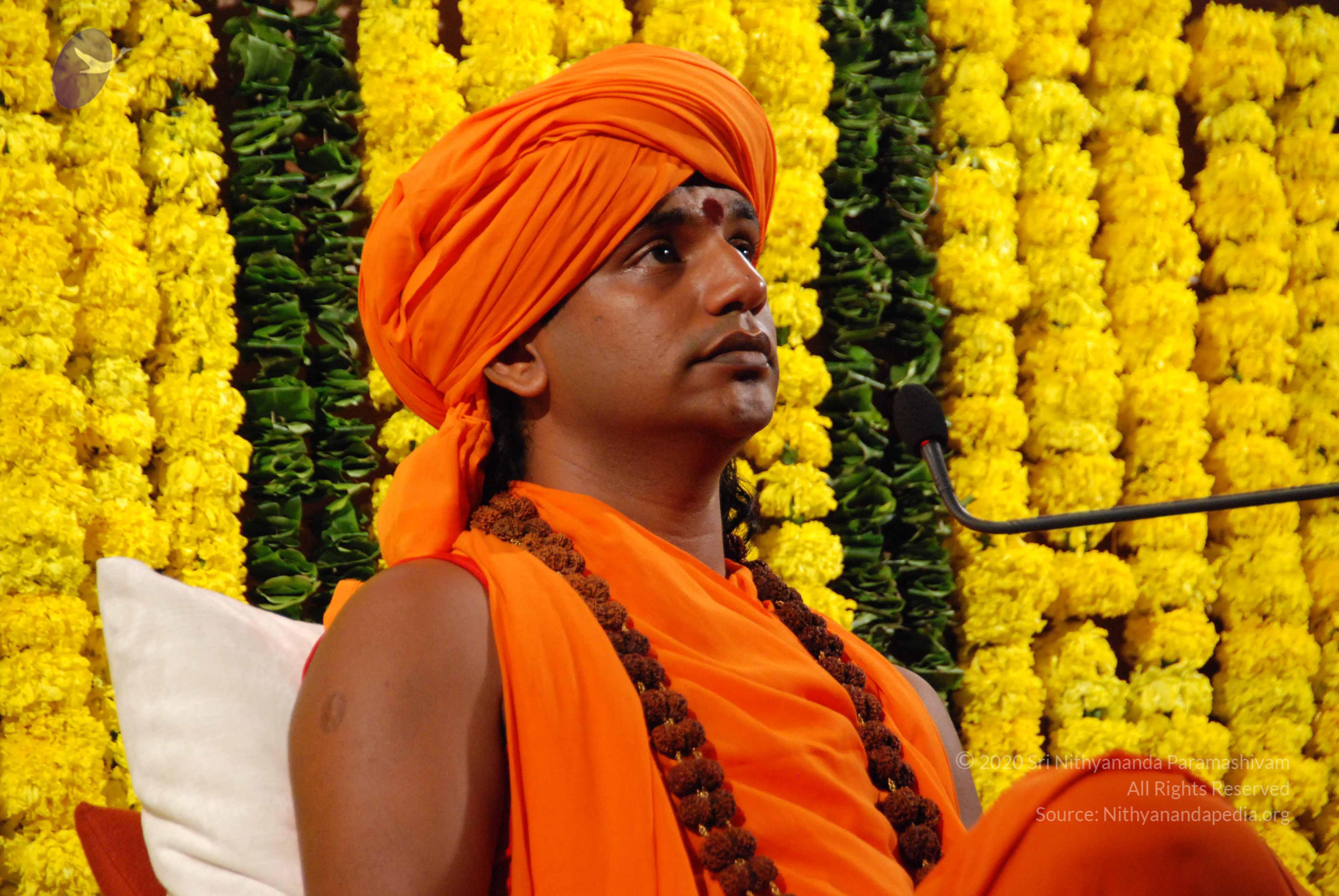 20090911_Photo_1043_DSC_0134_CMP_WM