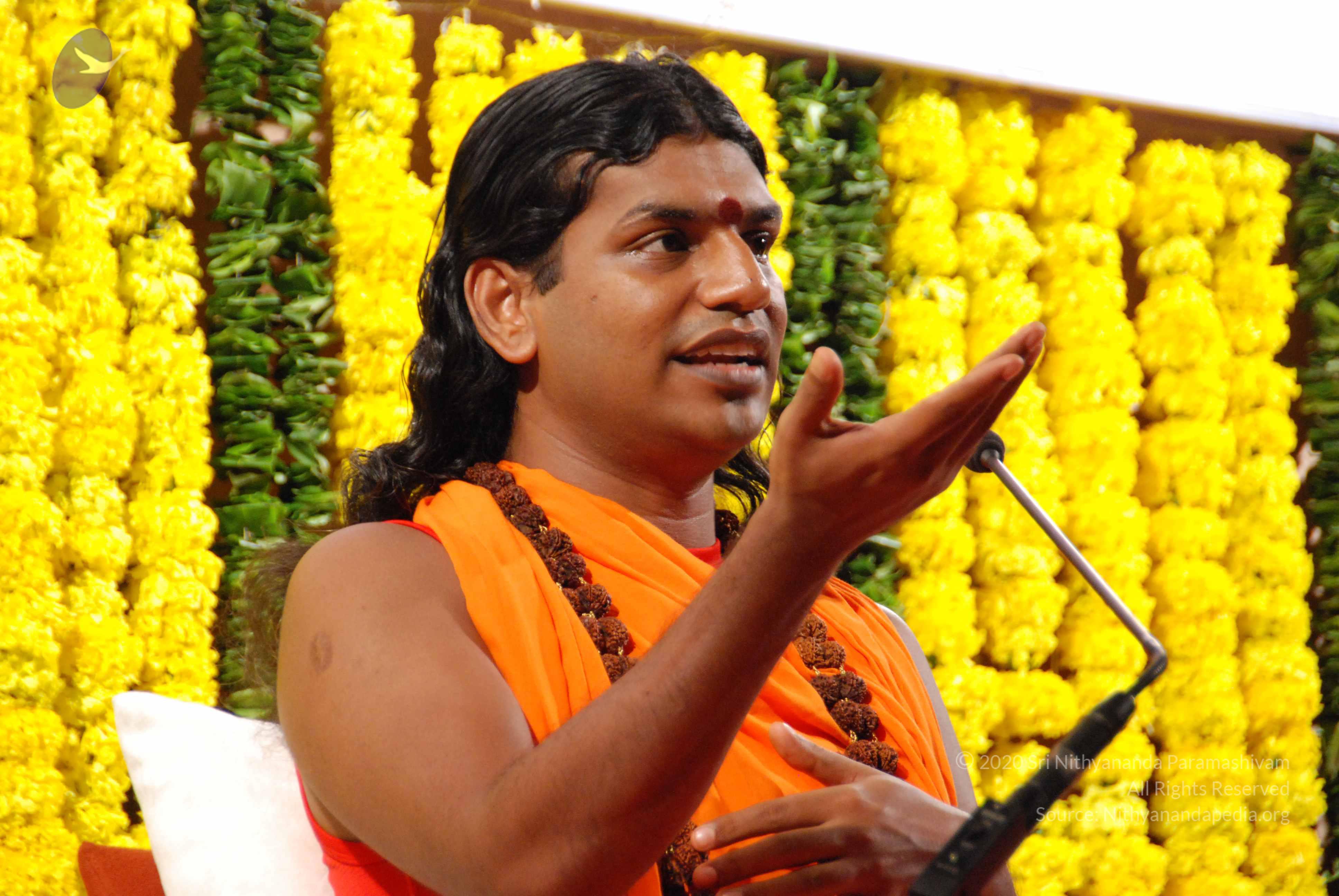 20090911_Photo_1081_DSC_0203_CMP_WM