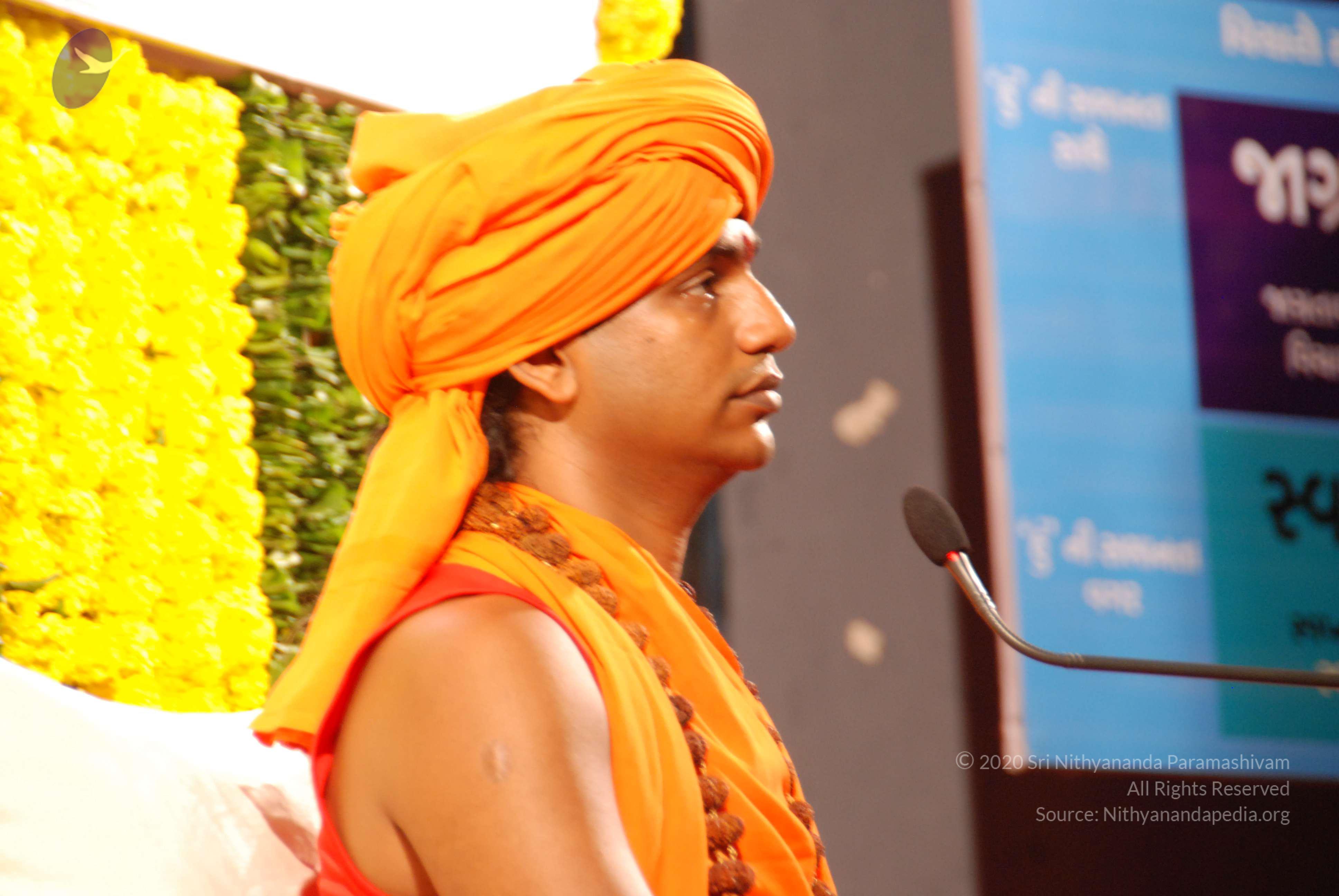 20090911_Photo_1116_DSC_0098_CMP_WM