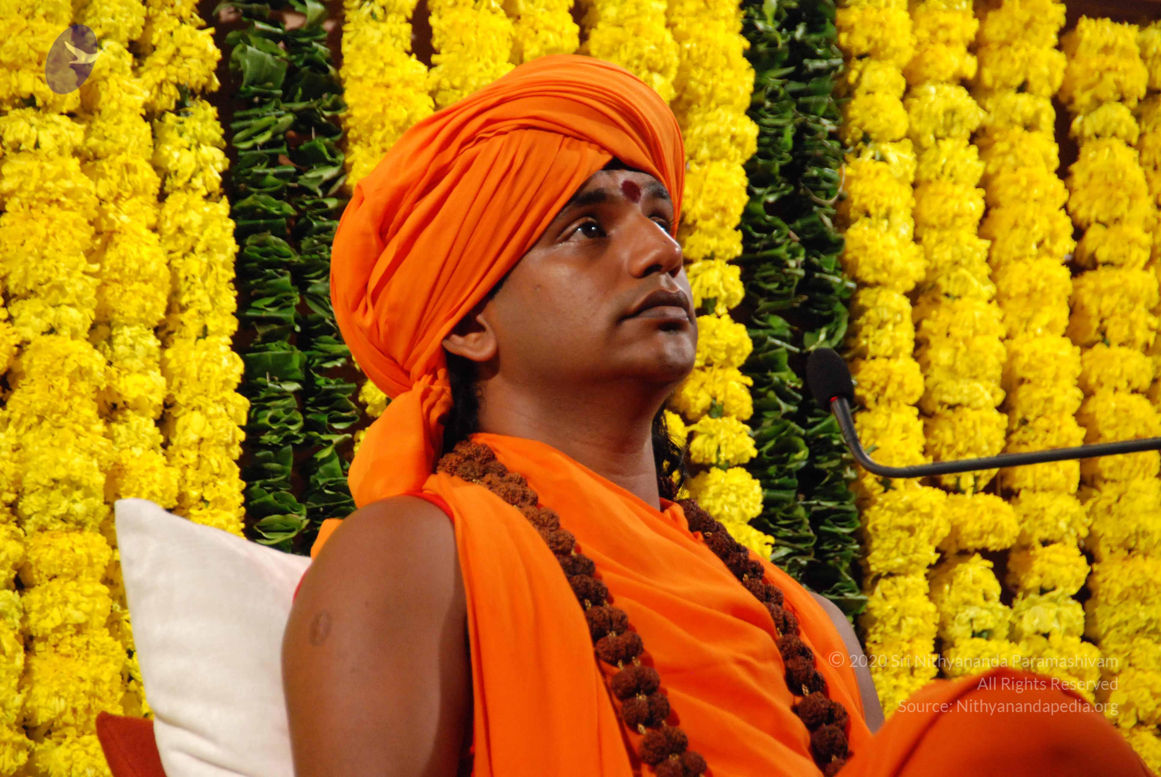 20090911_Photo_1150_DSC_0135_CMP_WM