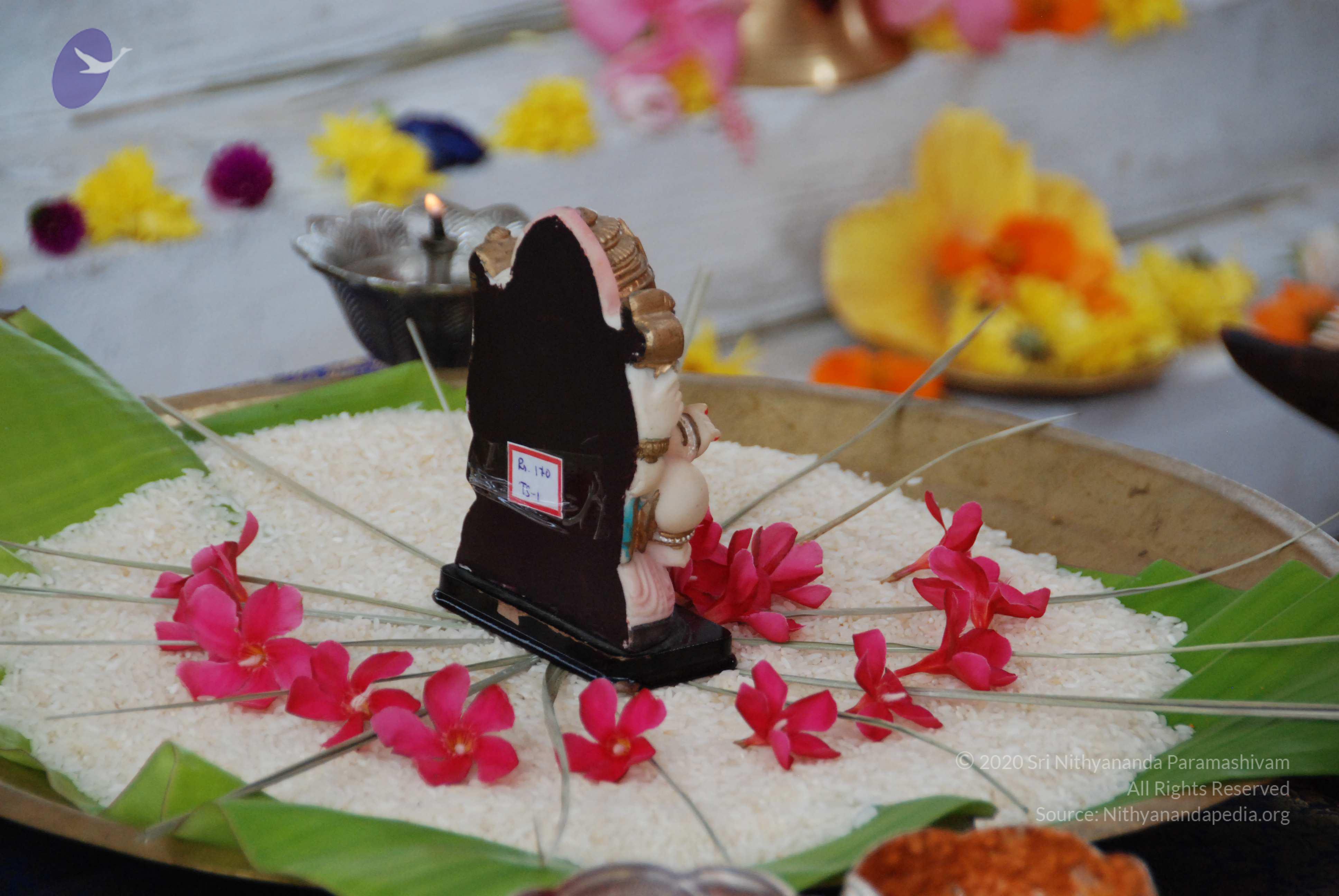 20090926_Photo_1088_DSC_2455_CMP_WM