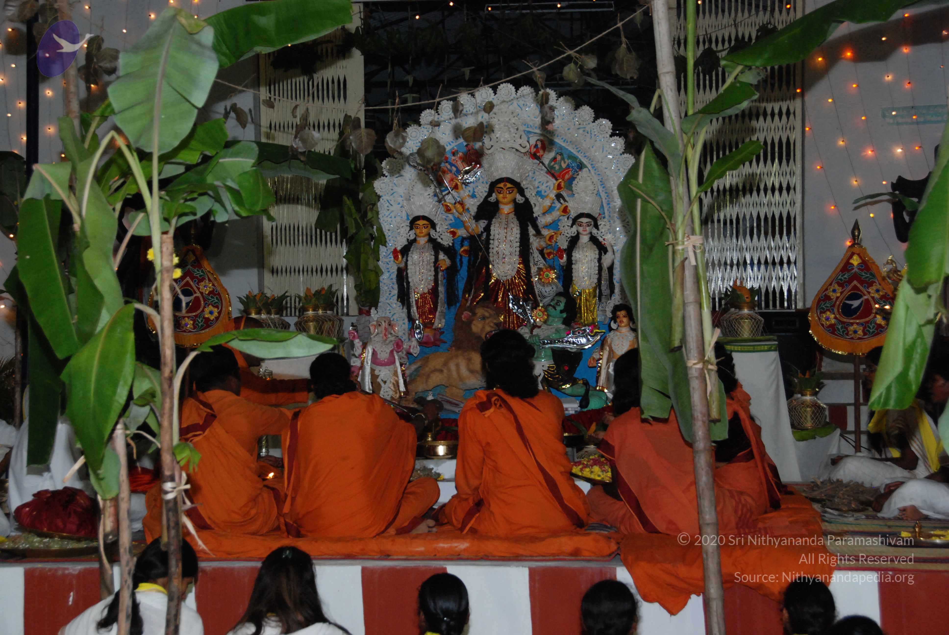 20090926_Photo_1119_DSC_2654_CMP_WM