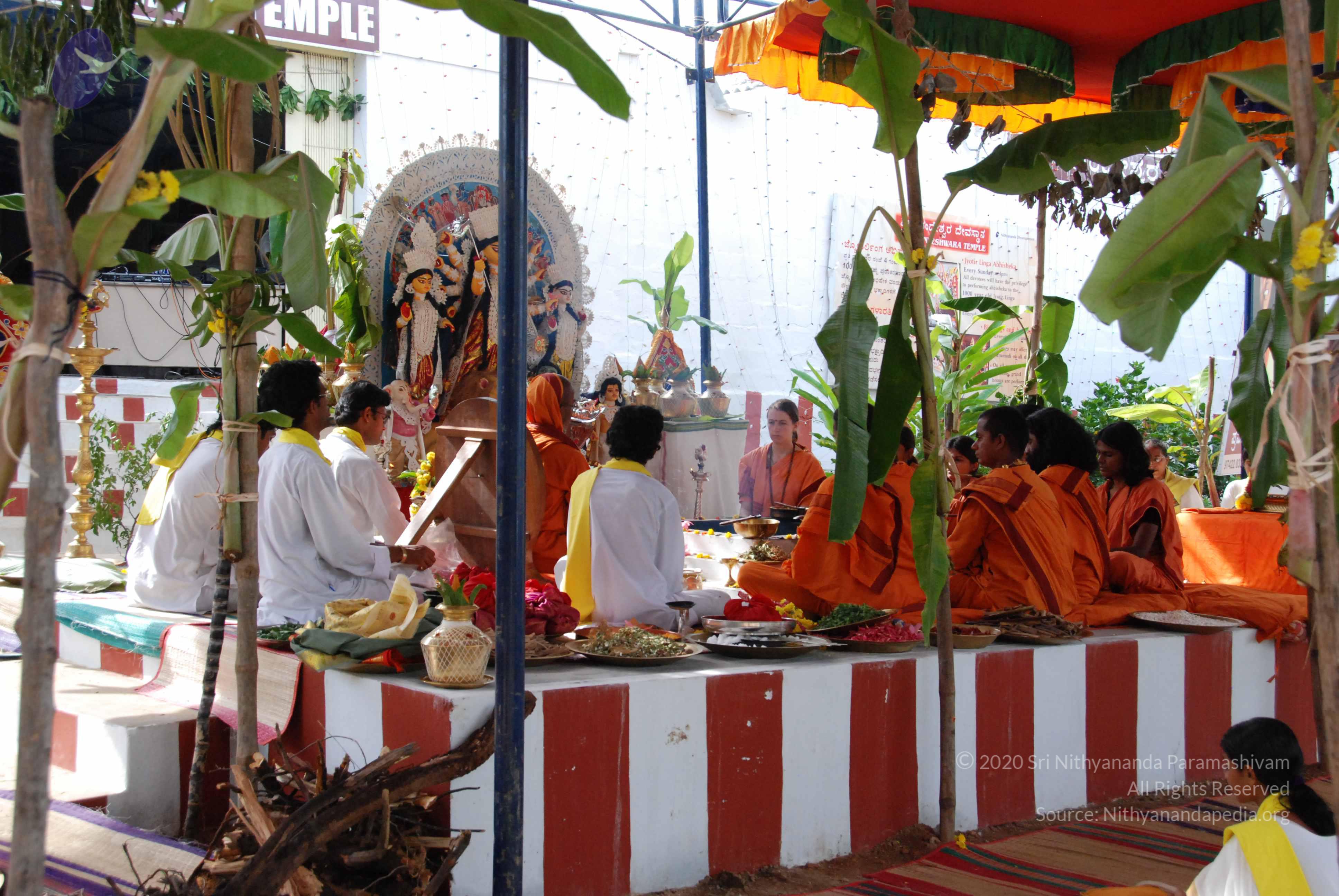 20090926_Photo_1125_DSC_2524_CMP_WM