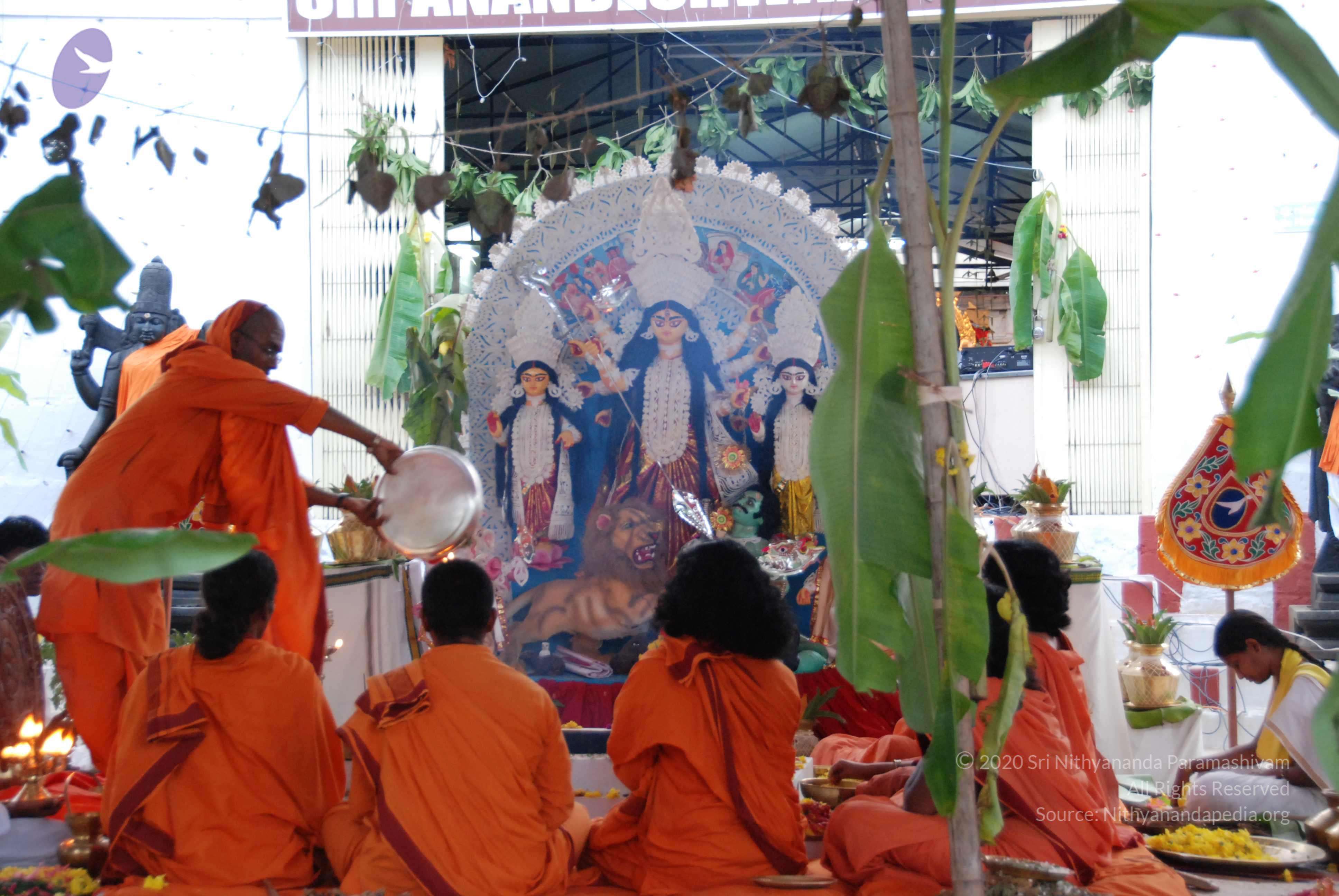 20090926_Photo_1129_DSC_2546_CMP_WM