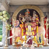 20090926_Photo_1135_DSC_2529_CMP_WM