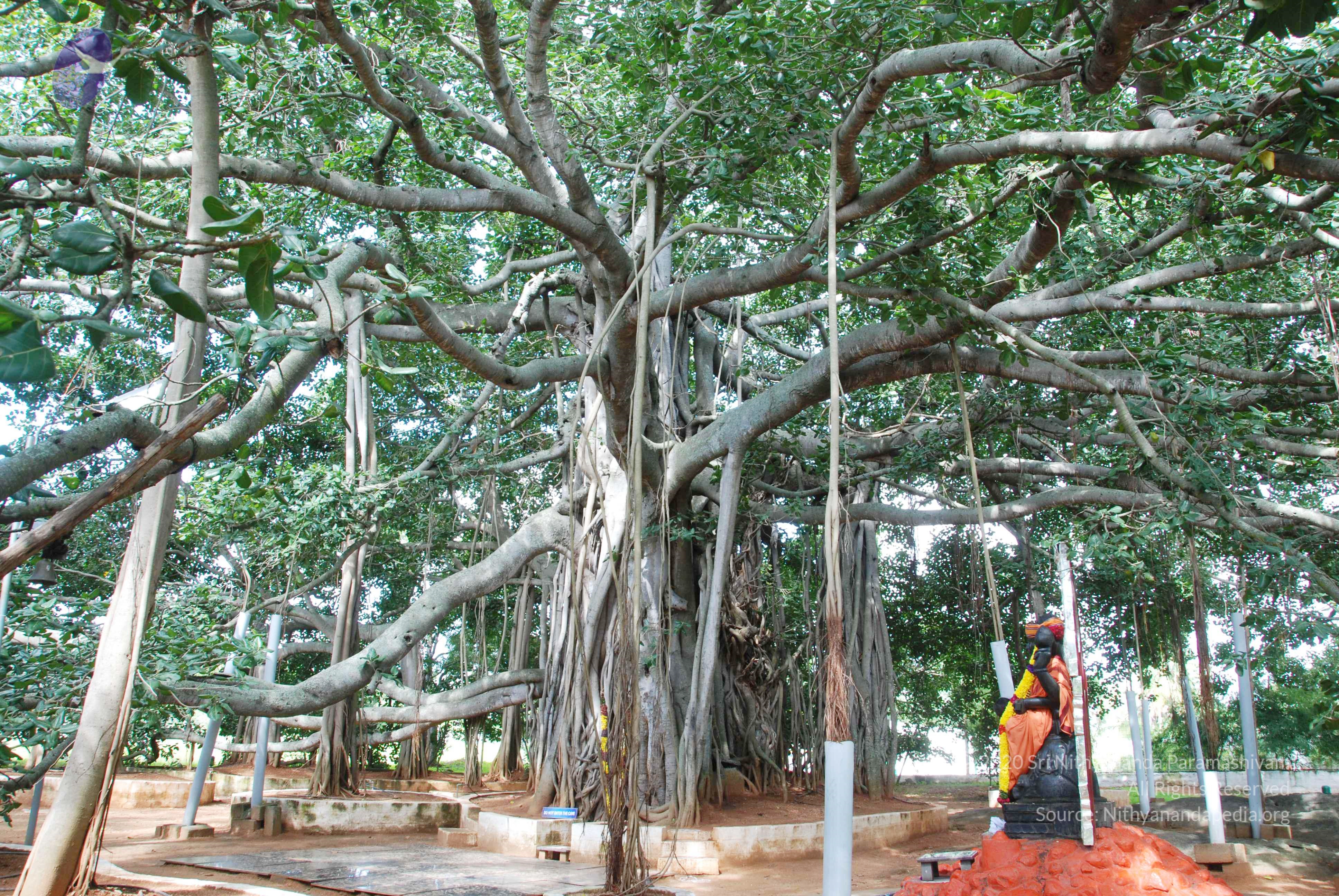 20100808_Photo_1000_DSC_0051_CMP_WM