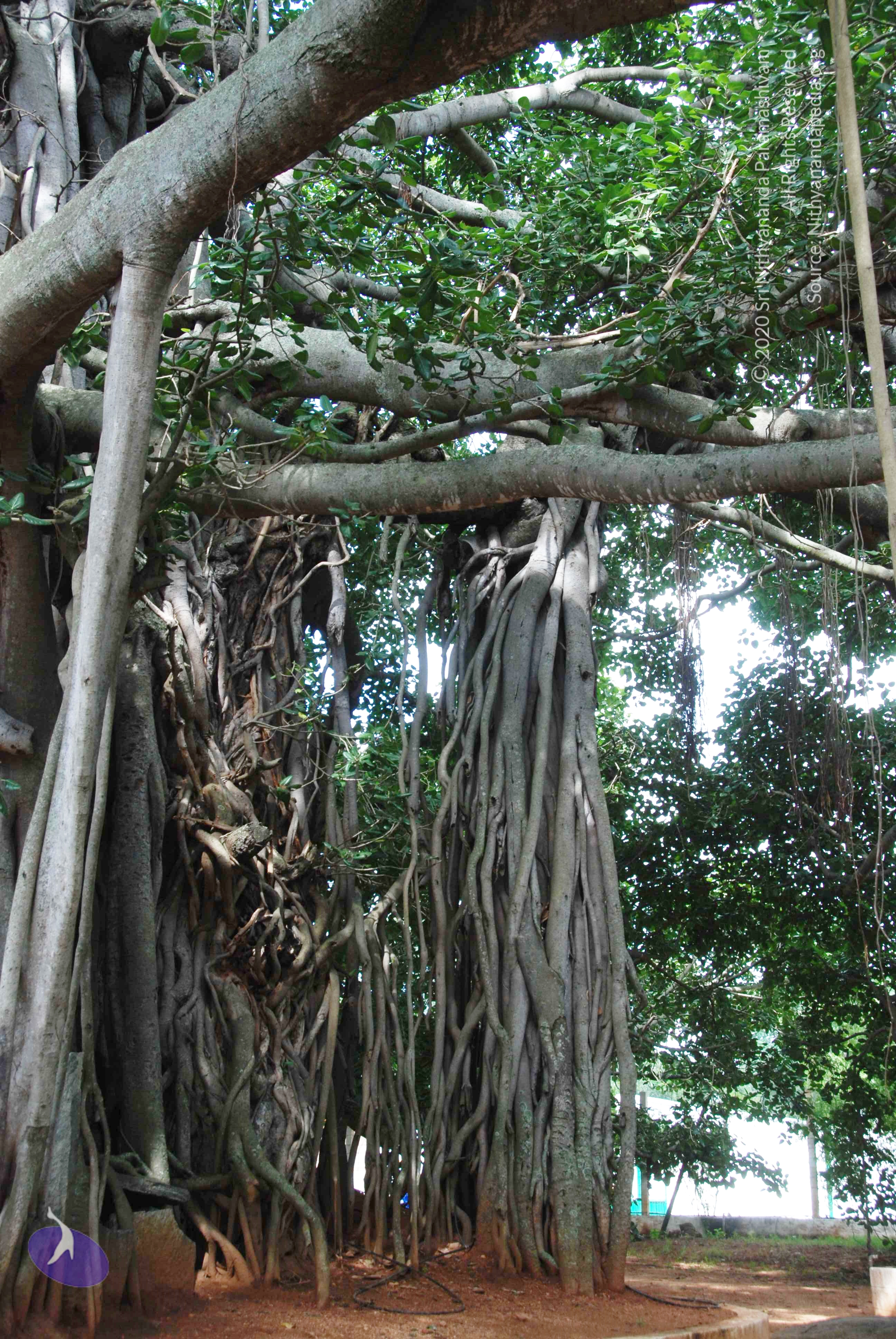 20100808_Photo_1003_DSC_0059_CMP_WM