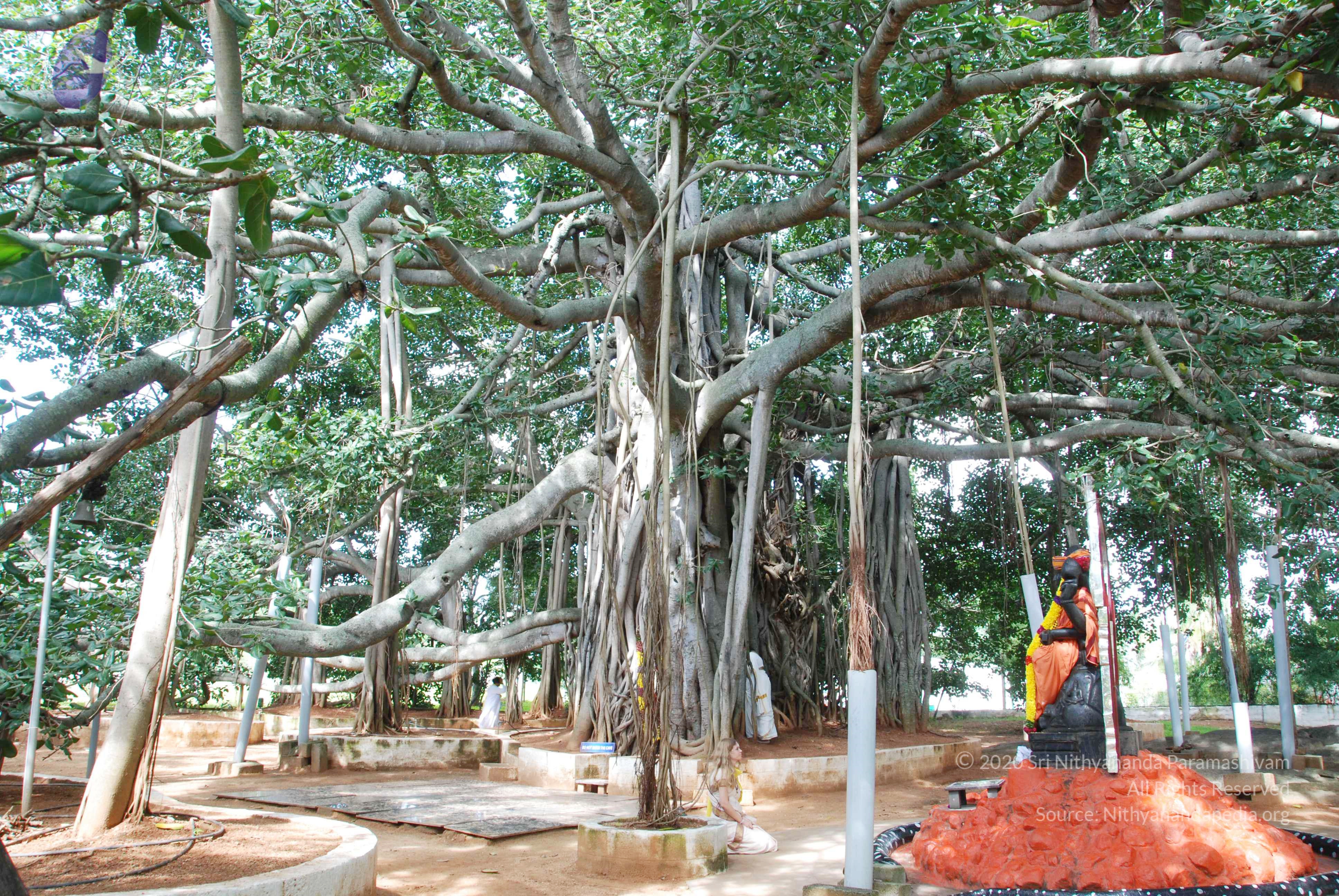 20100808_Photo_1005_DSC_0056_CMP_WM