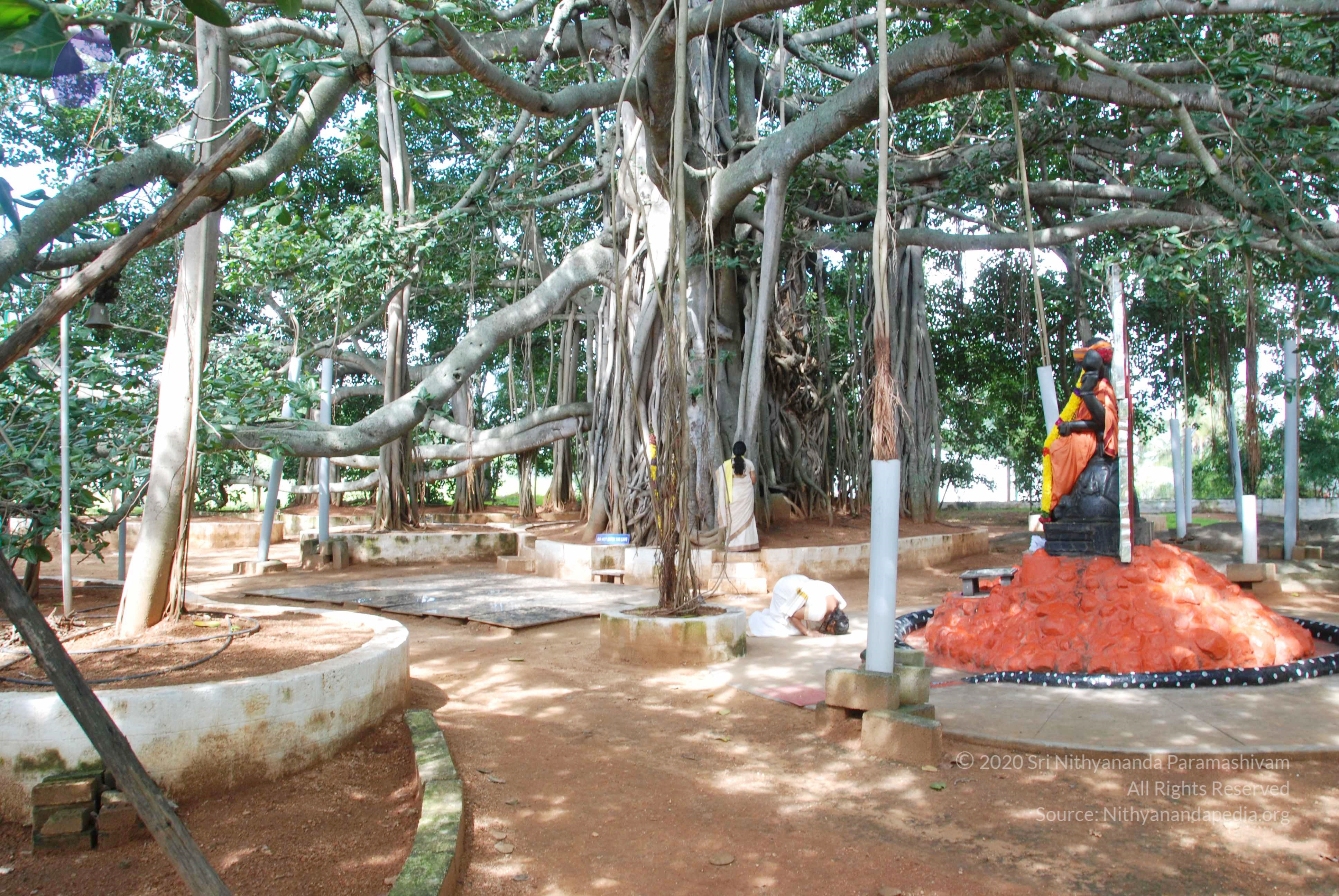 20100808_Photo_1008_DSC_0049_CMP_WM