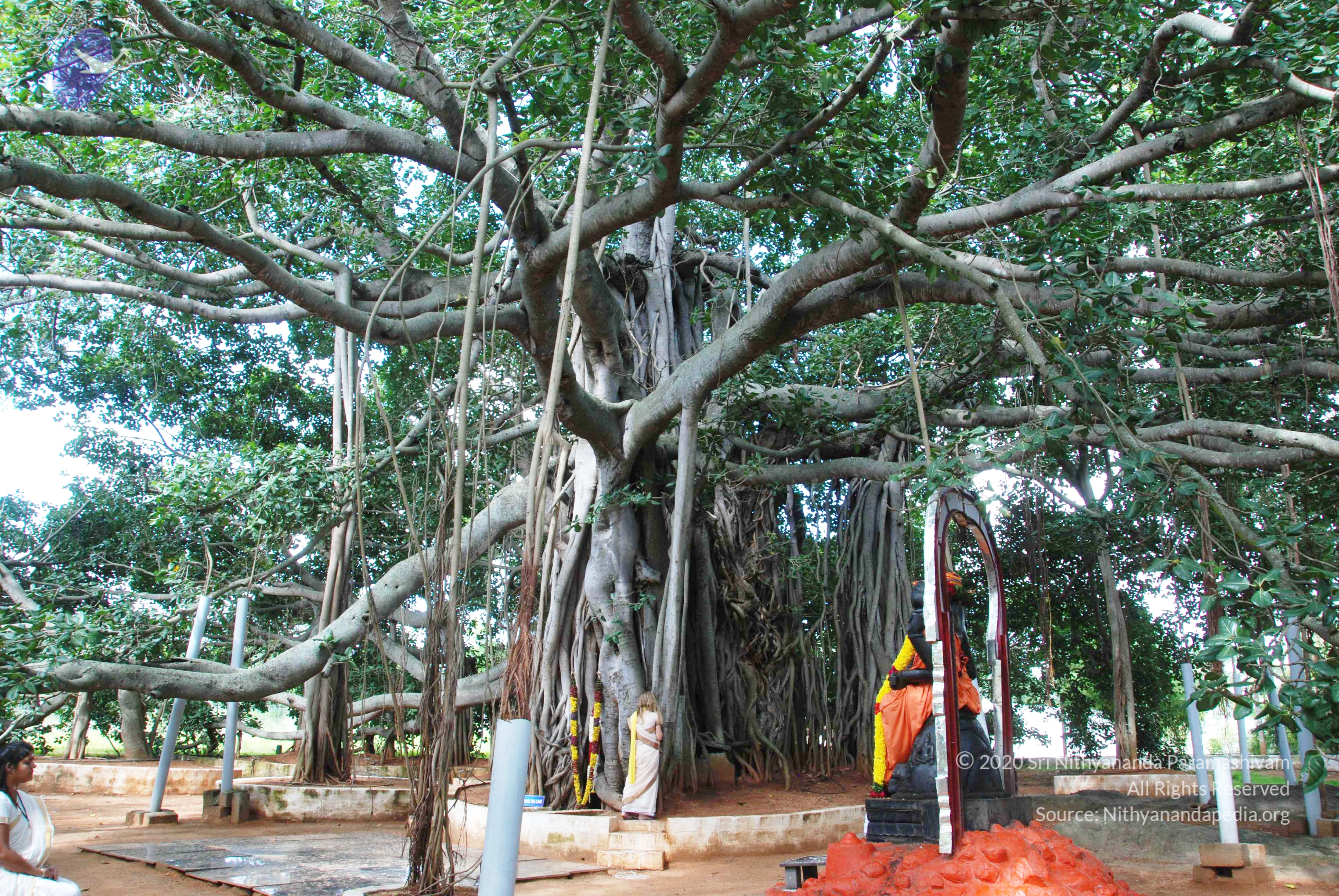 20100808_Photo_1010_DSC_0058_CMP_WM