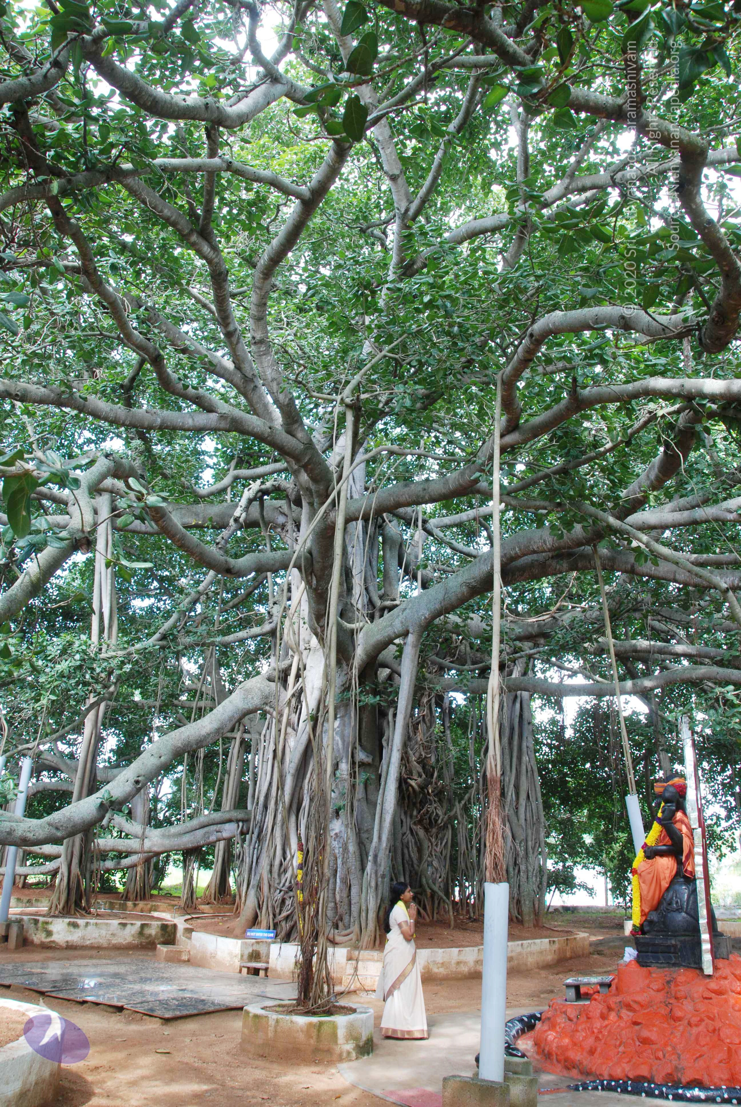 20100808_Photo_1011_DSC_0050_CMP_WM