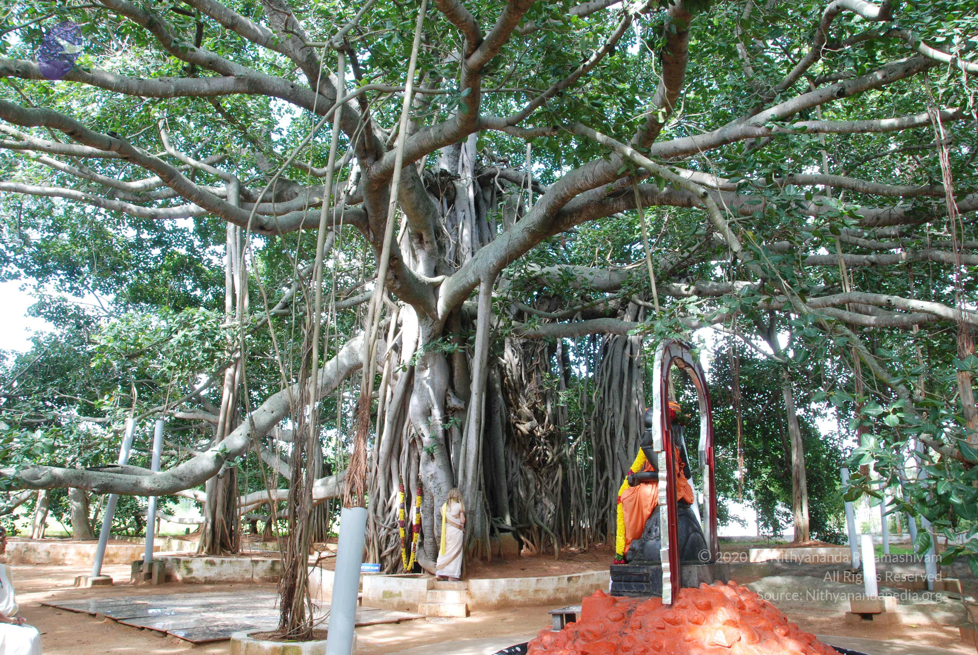 20100808_Photo_1013_DSC_0057_CMP_WM