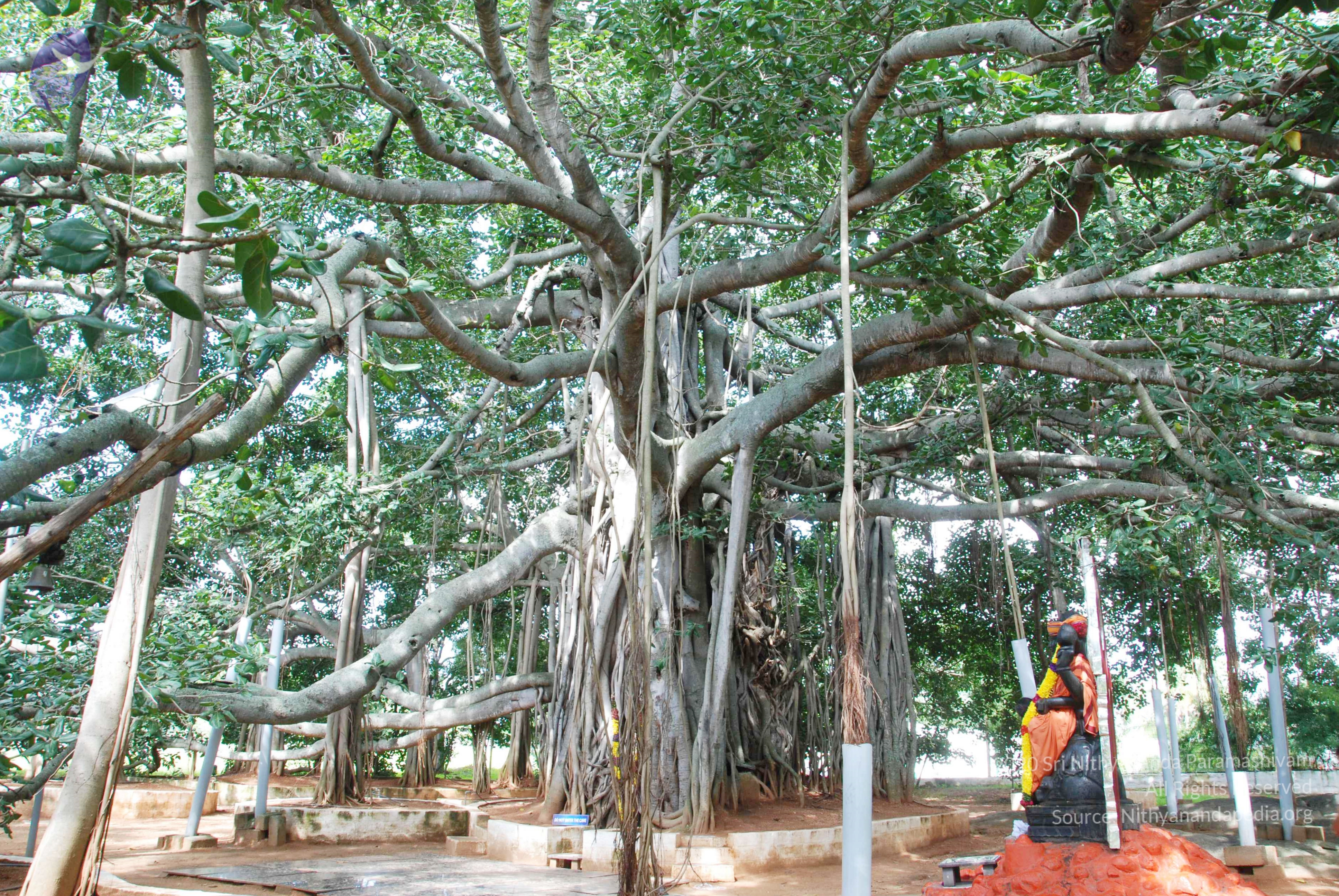 20100808_Photo_1017_DSC_0052_CMP_WM