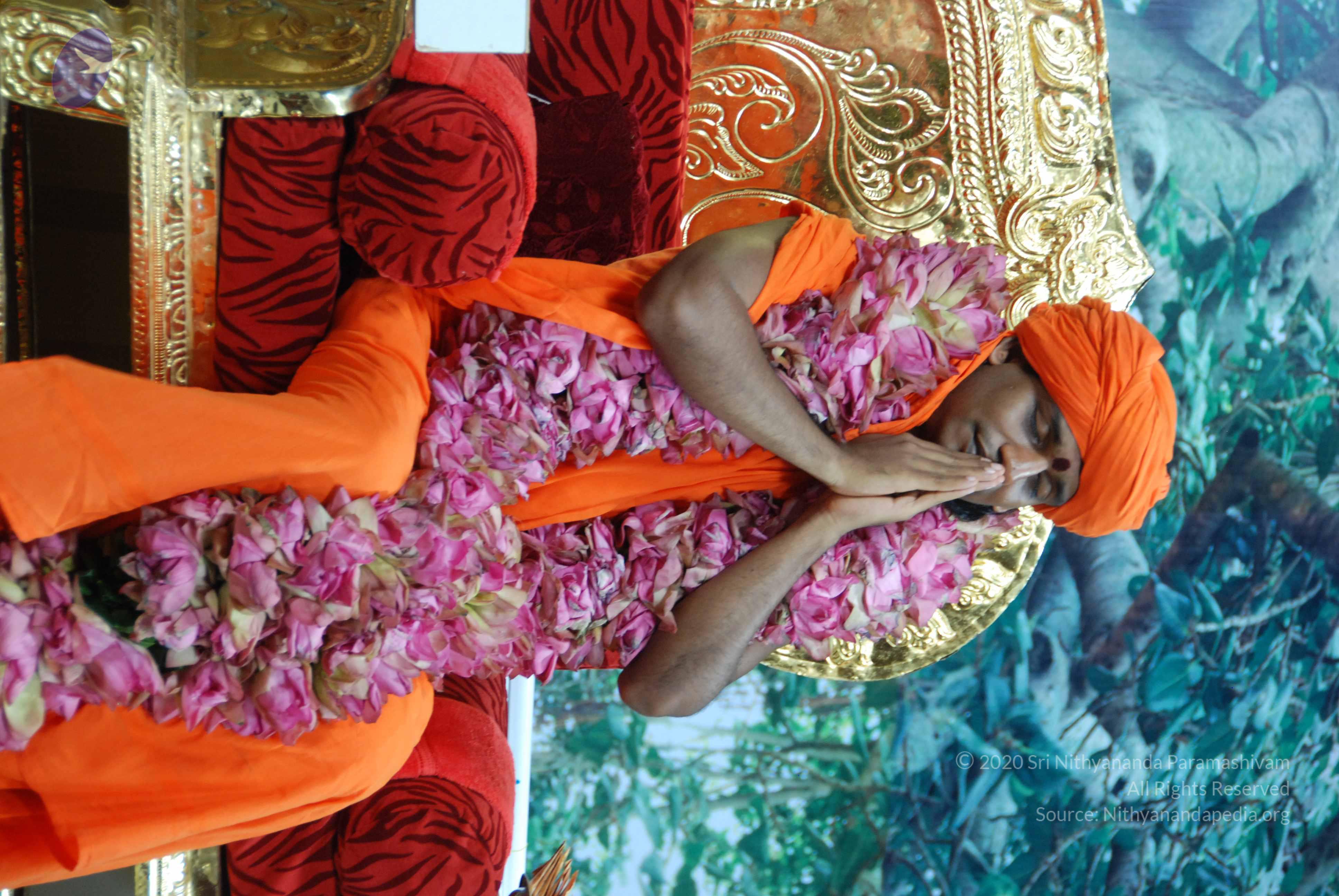 20100808_Photo_1004_DSC_0446_CMP_WM