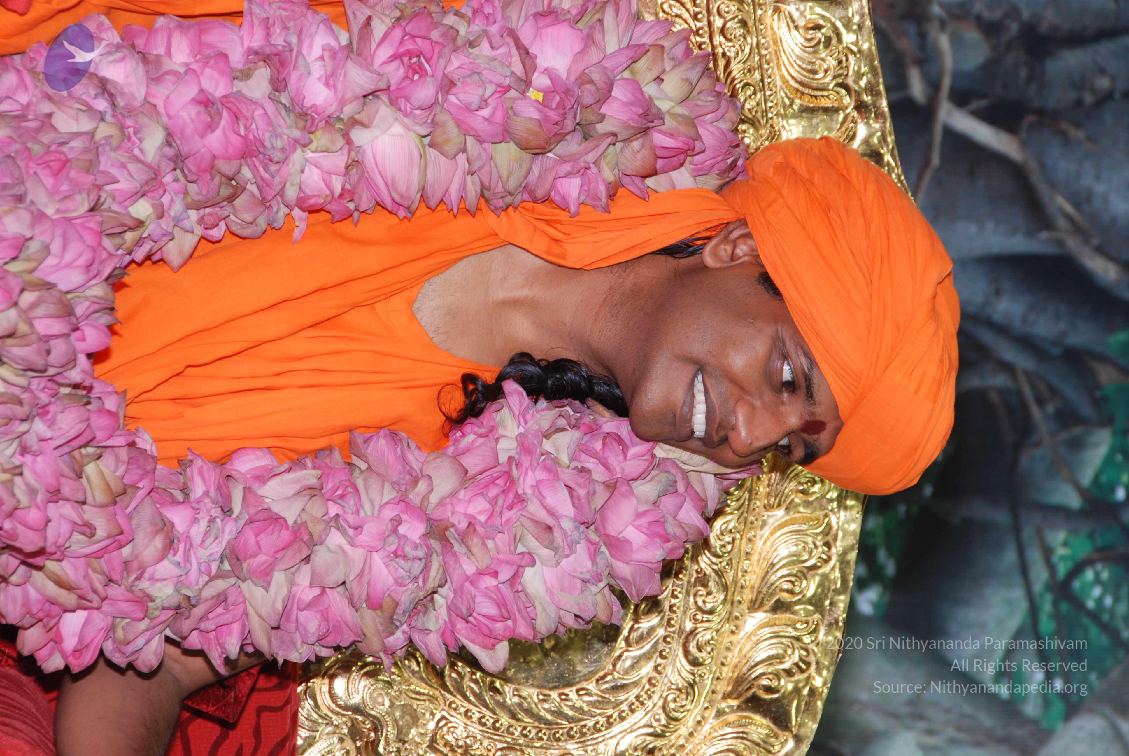 20100808_Photo_1027_DSC_0331_CMP_WM