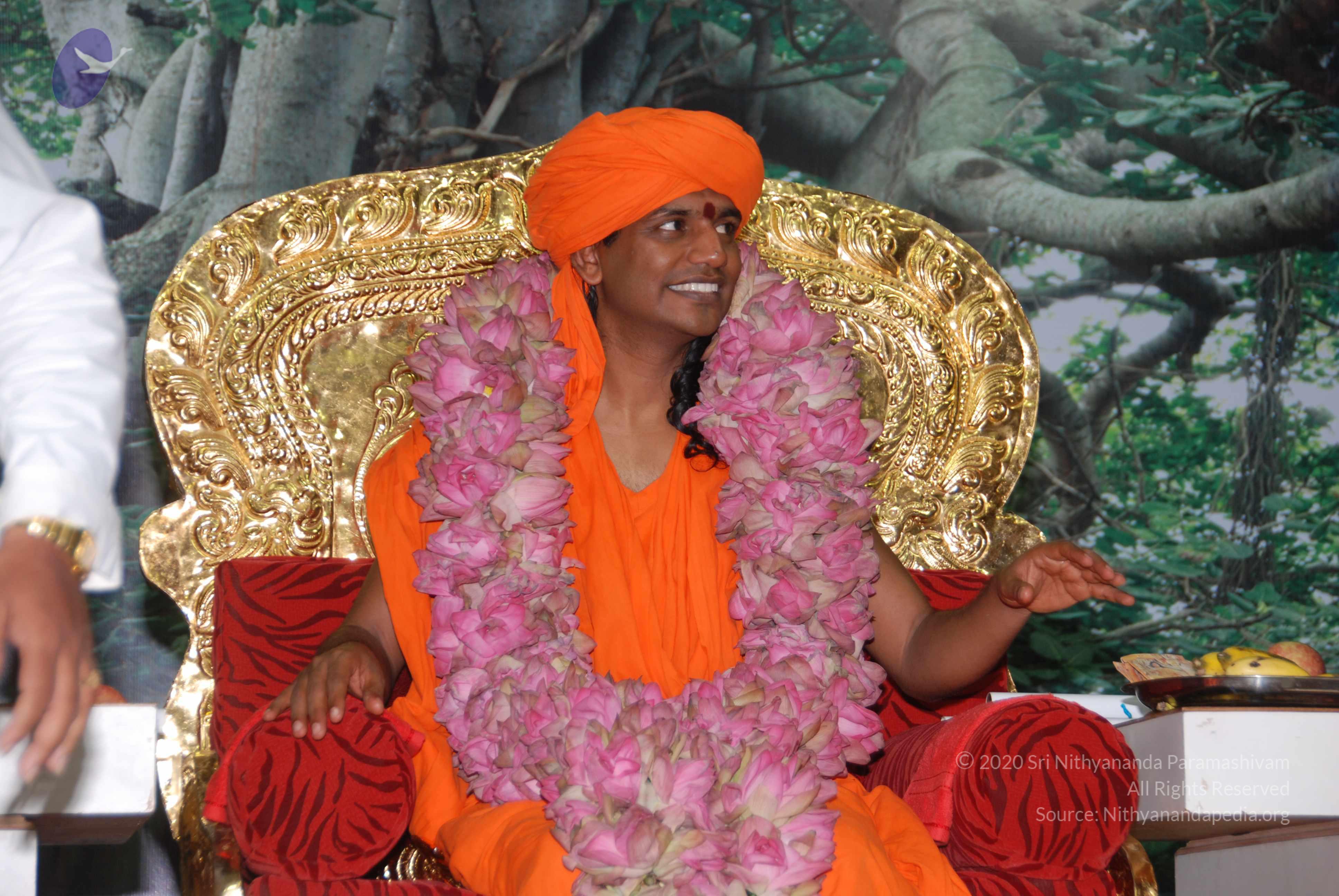 20100808_Photo_1028_DSC_0328_CMP_WM