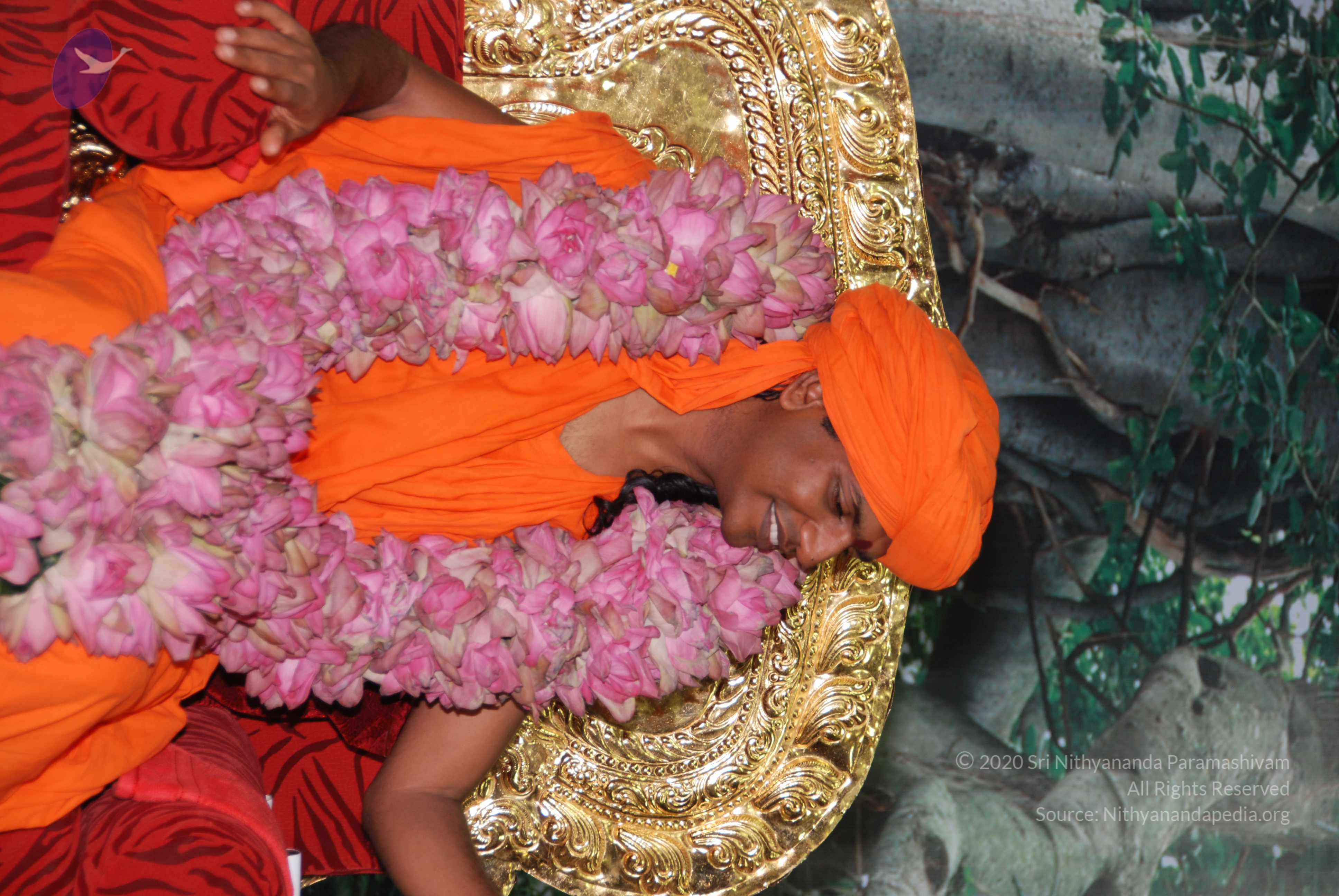 20100808_Photo_1033_DSC_0325_CMP_WM