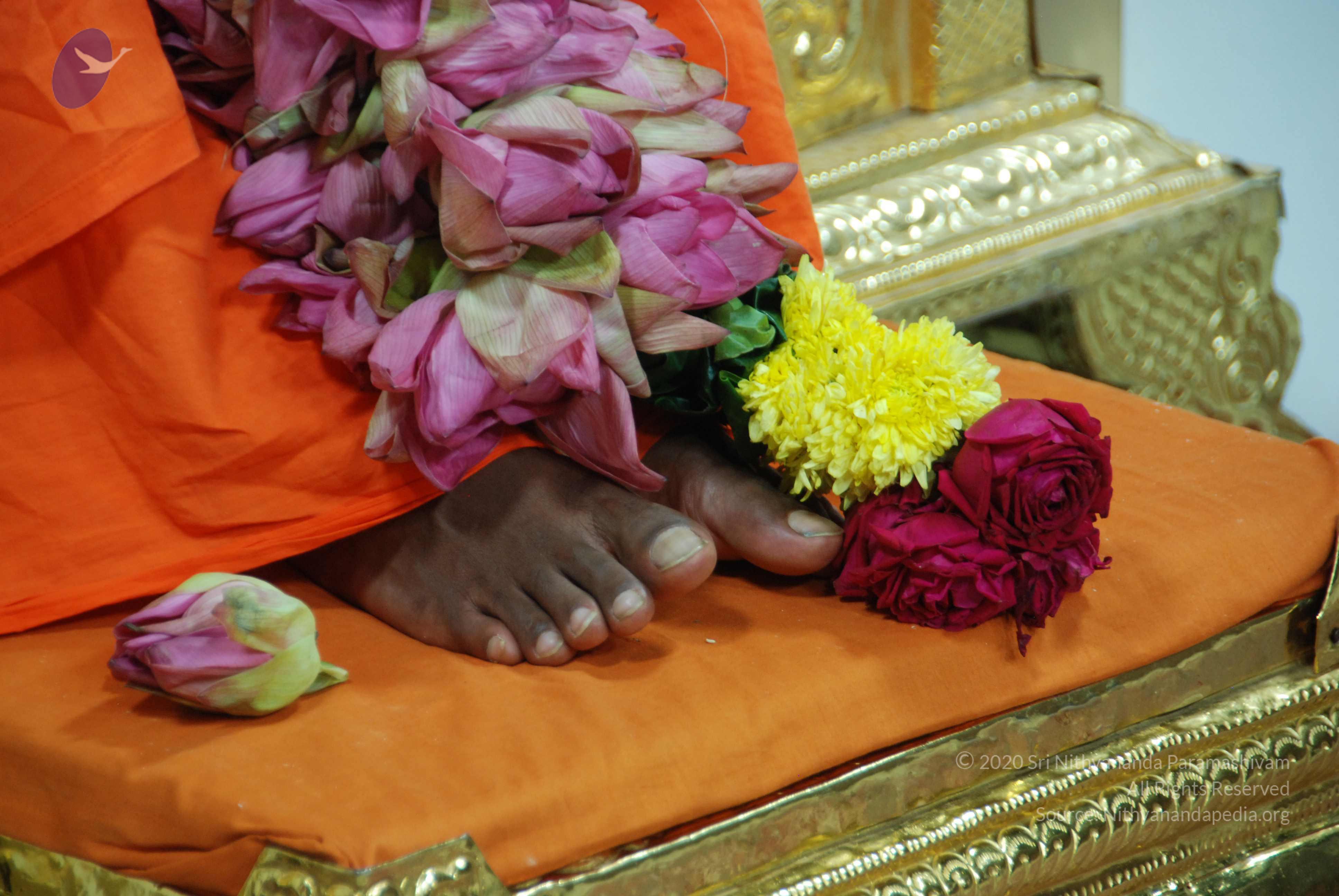 20100808_Photo_1041_DSC_0377_CMP_WM