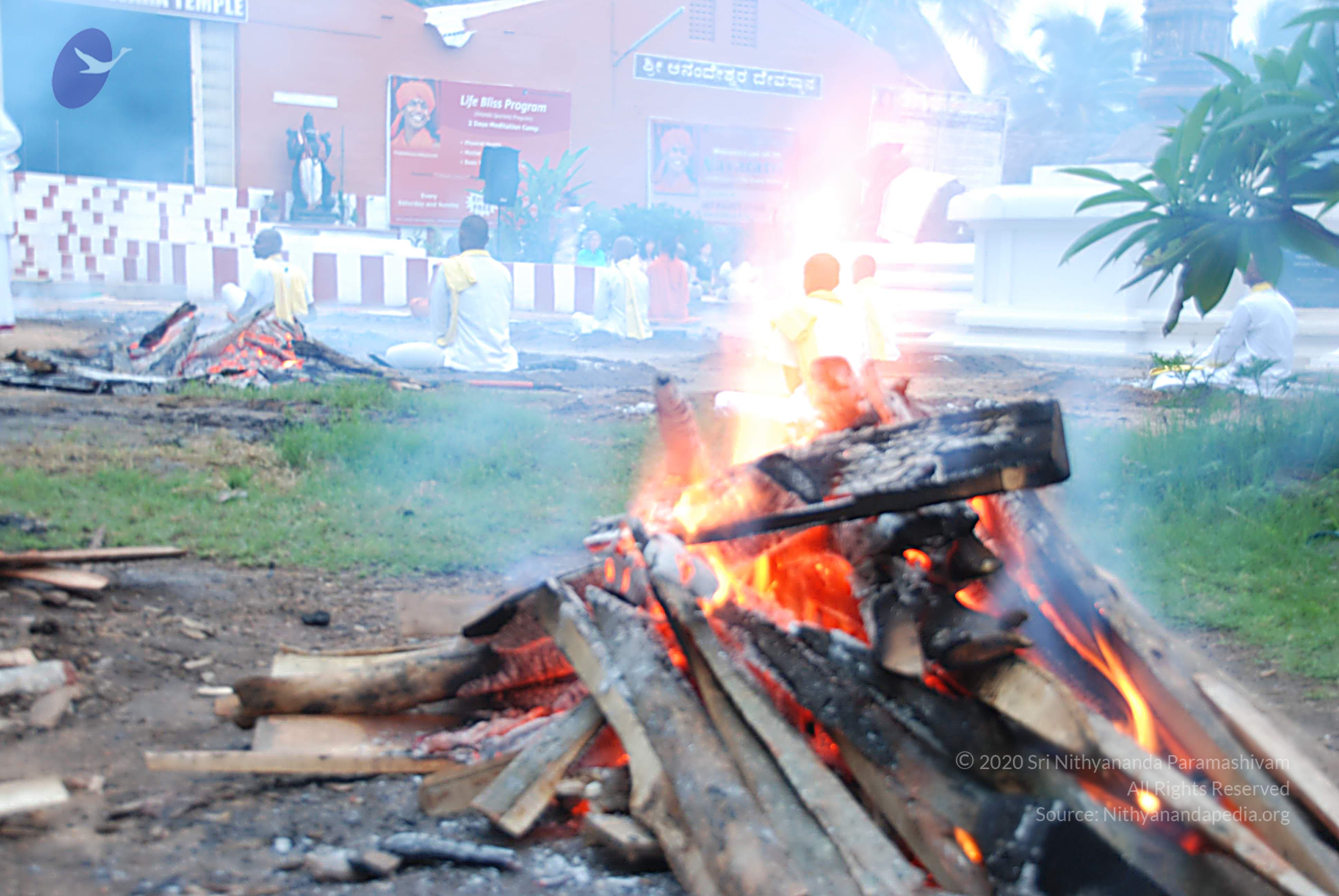 20100808_Photo_1009_DSC_9794_CMP_WM