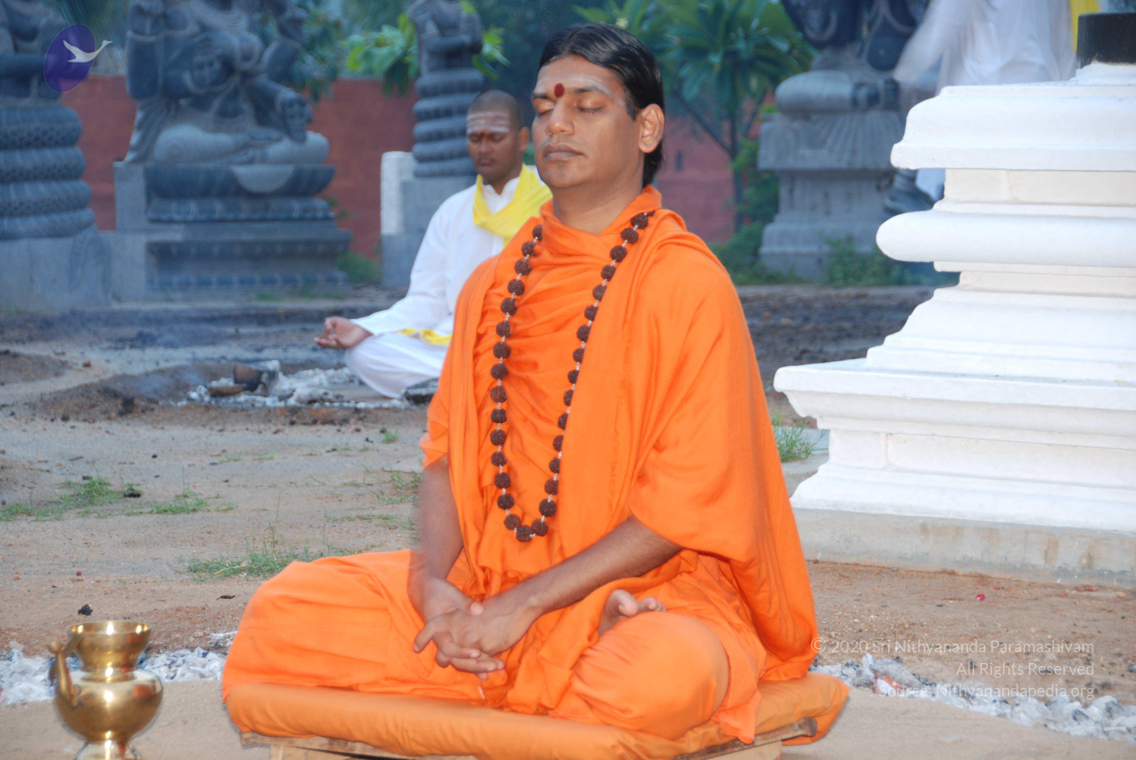 20100808_Photo_1010_DSC_9777_CMP_WM