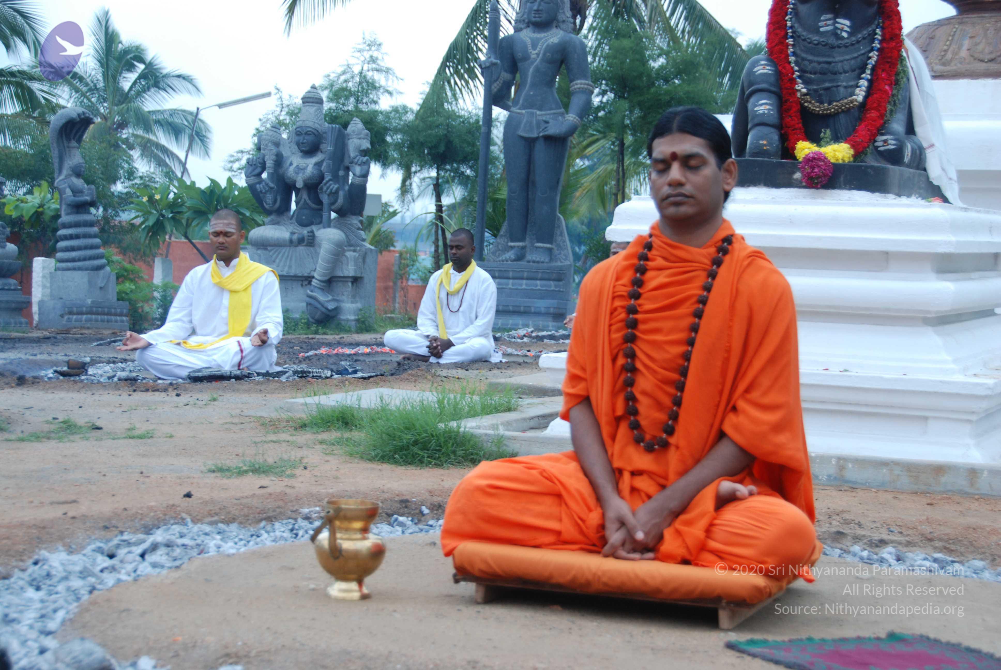 20100808_Photo_1012_DSC_9785_CMP_WM