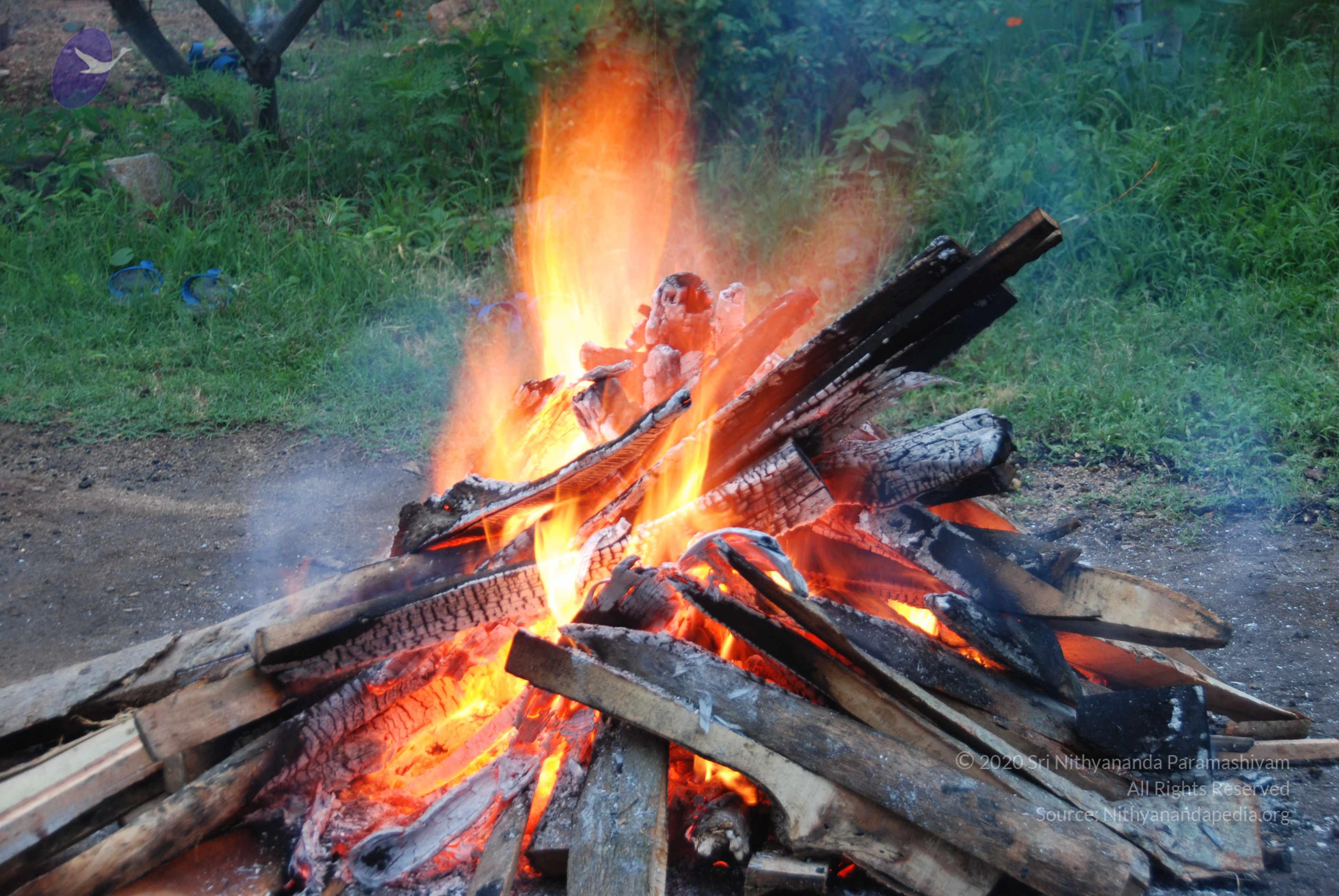 20100808_Photo_1027_DSC_9790_CMP_WM