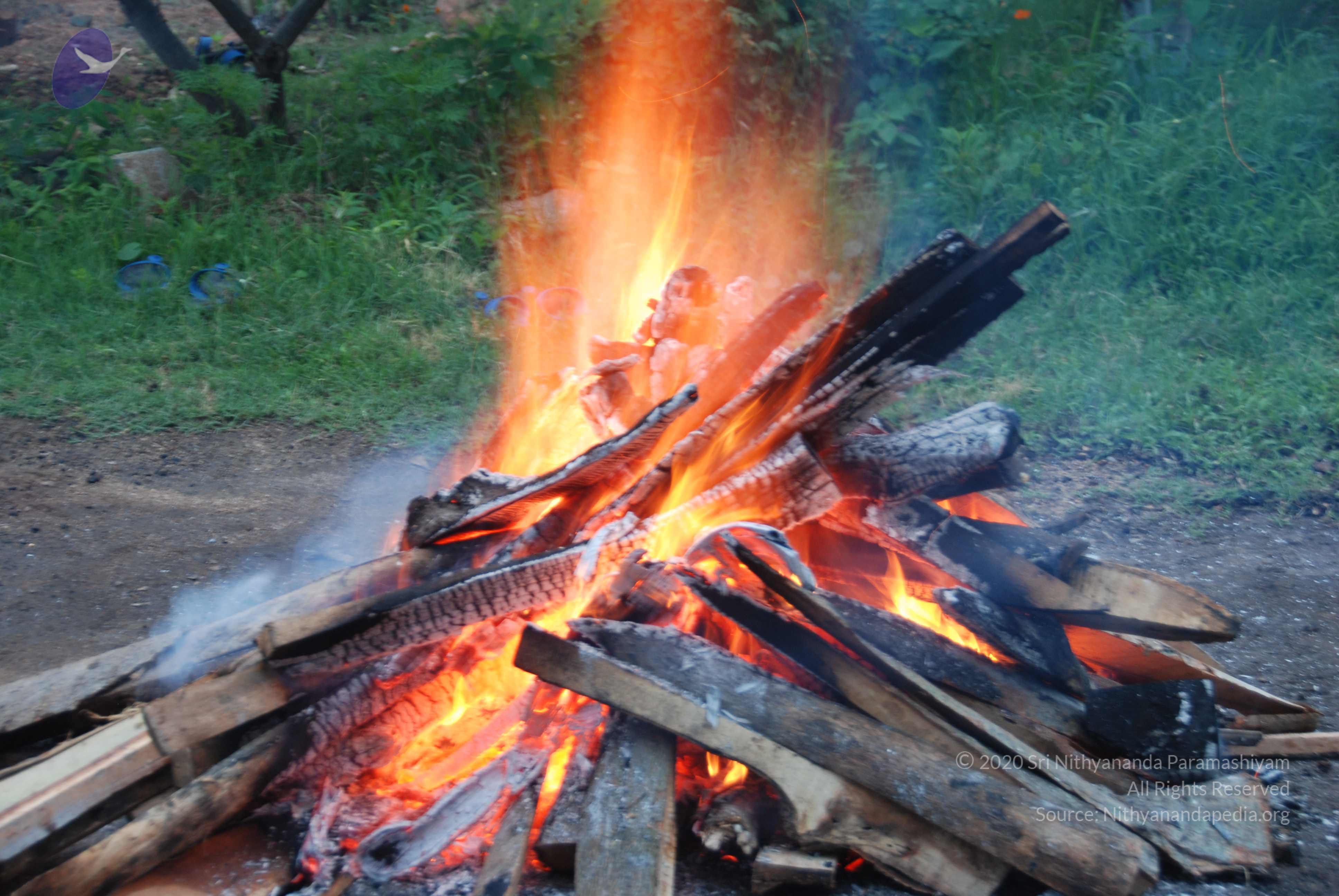 20100808_Photo_1030_DSC_9789_CMP_WM