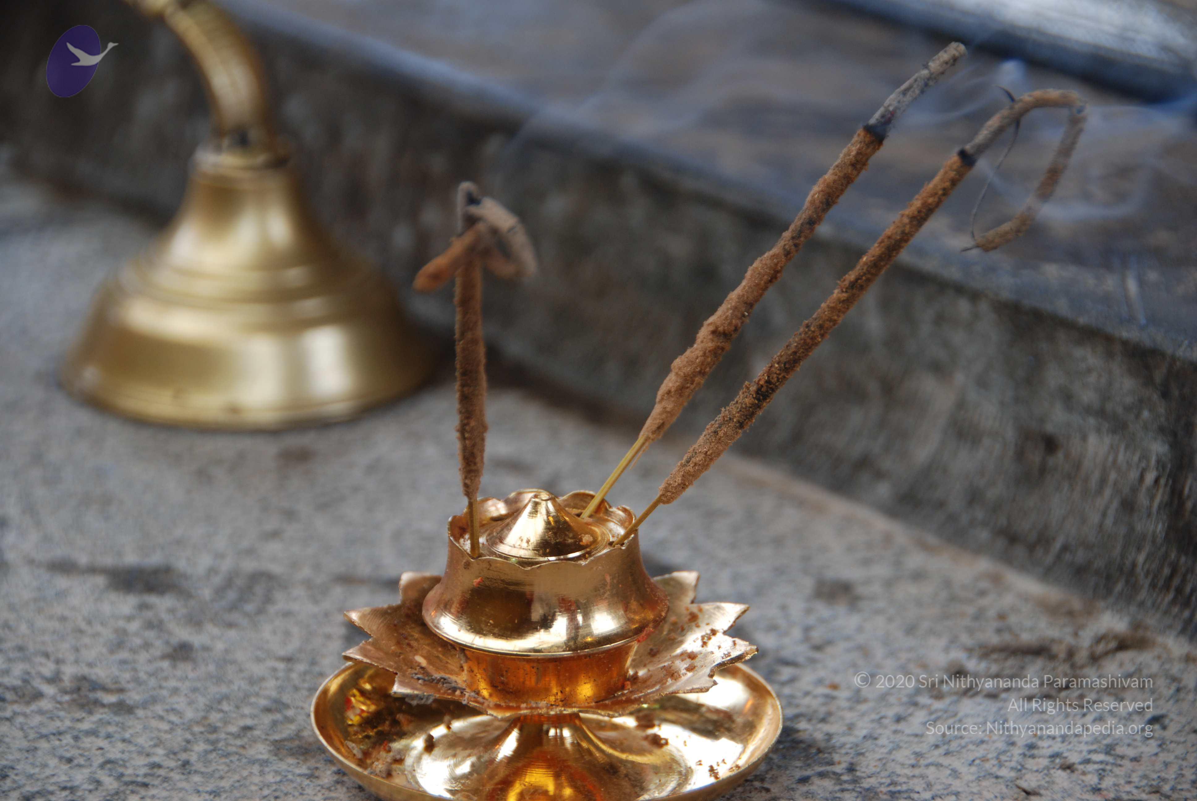 20100808_Photo_1000_DSC_9852_CMP_WM